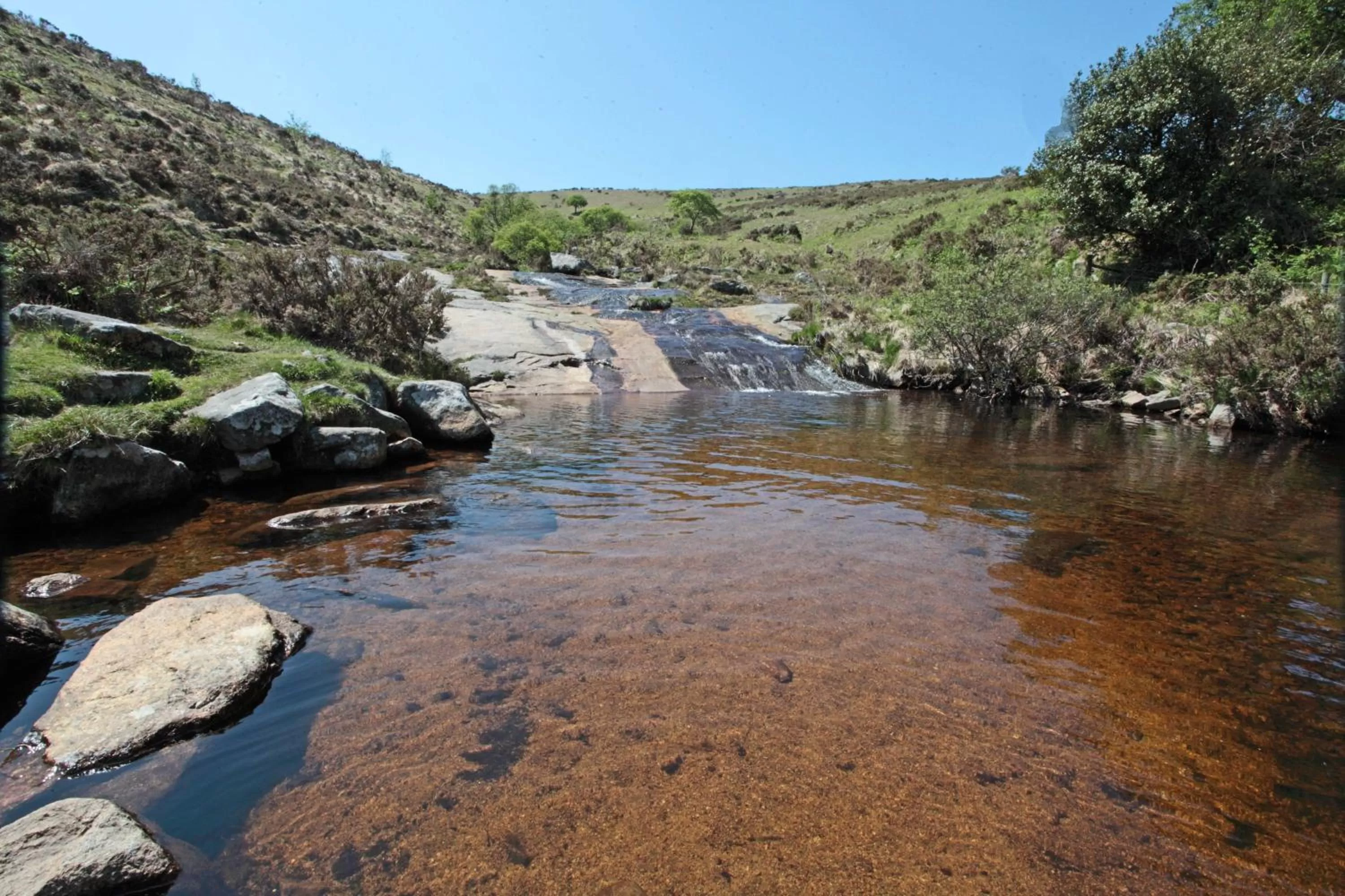 Natural landscape in Lovaton Farmhouse