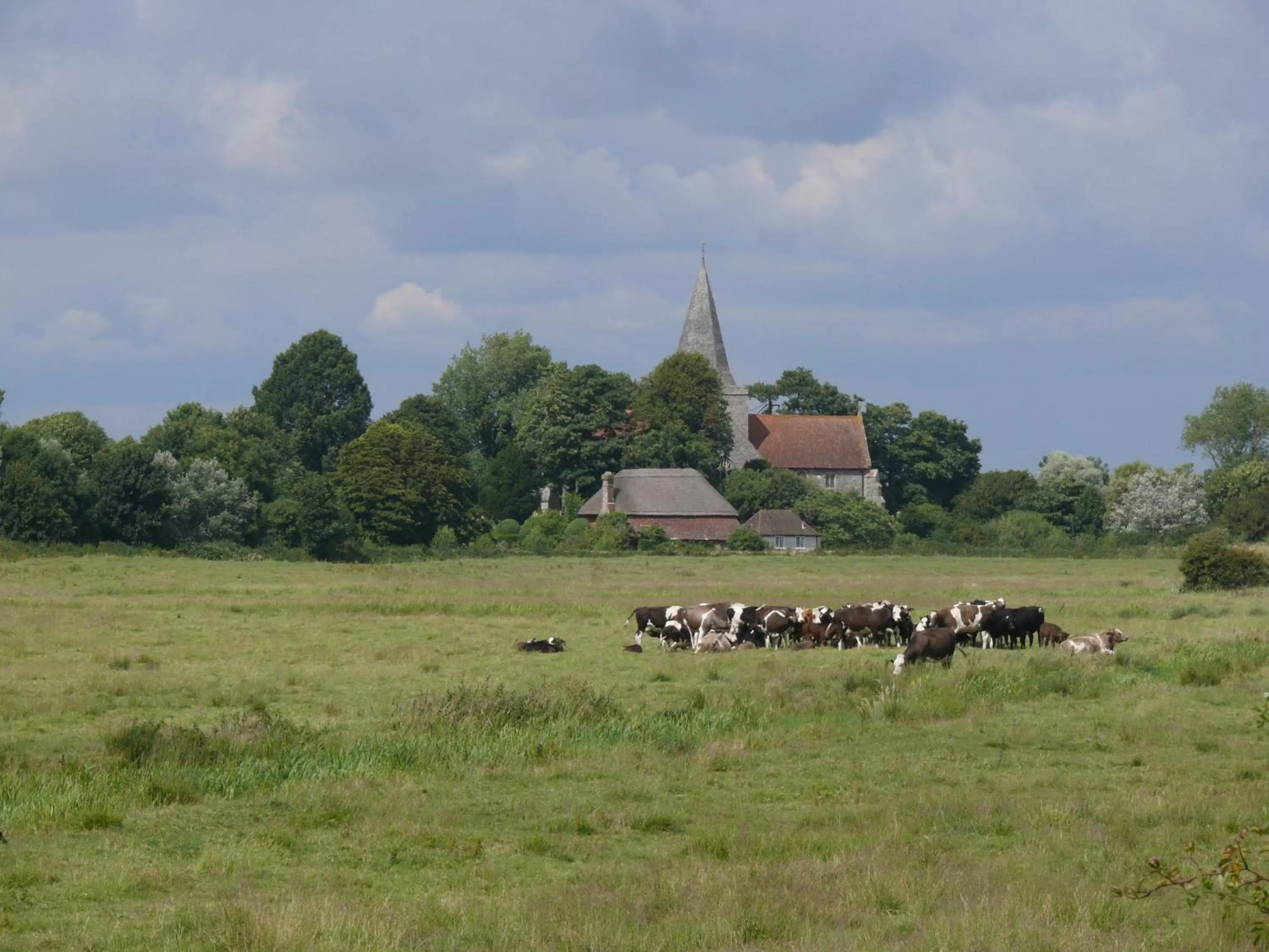 Area and facilities, Other Animals in Deans Place Hotel