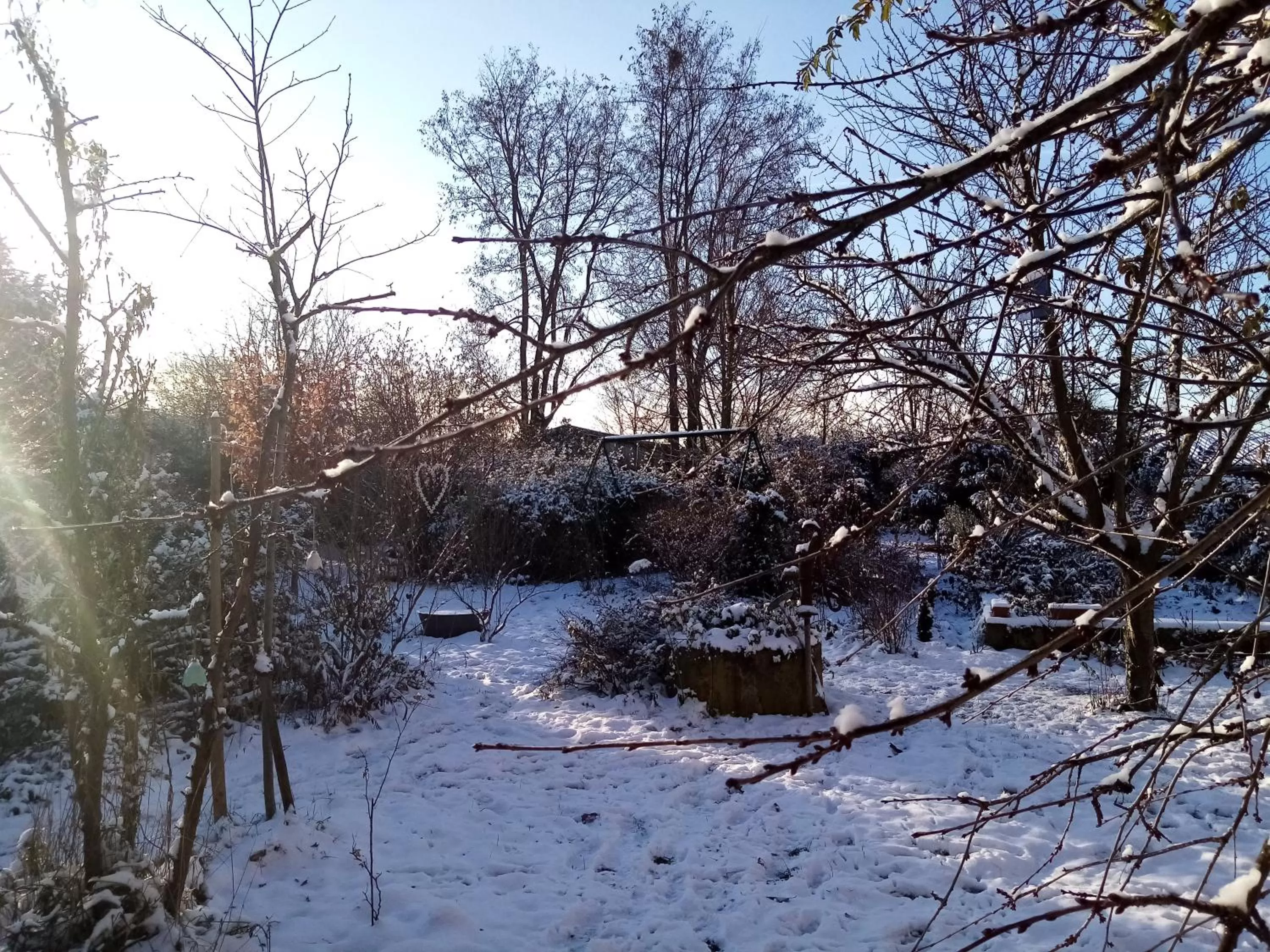 Garden, Winter in Hissele