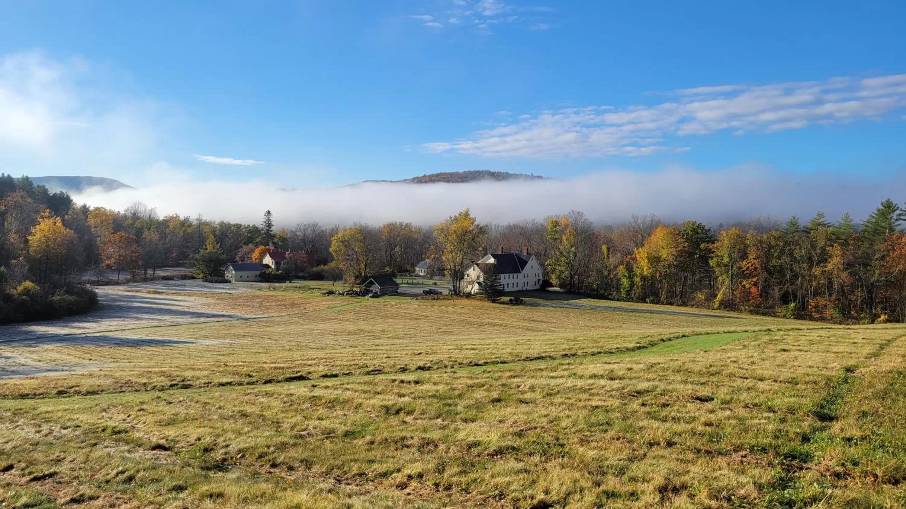 Property building in Franklyn Farm Inn