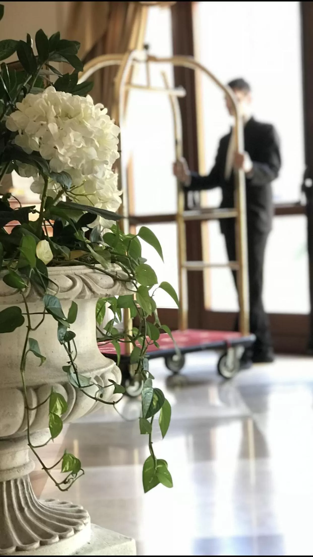 Lobby or reception in Grand Hotel Palace