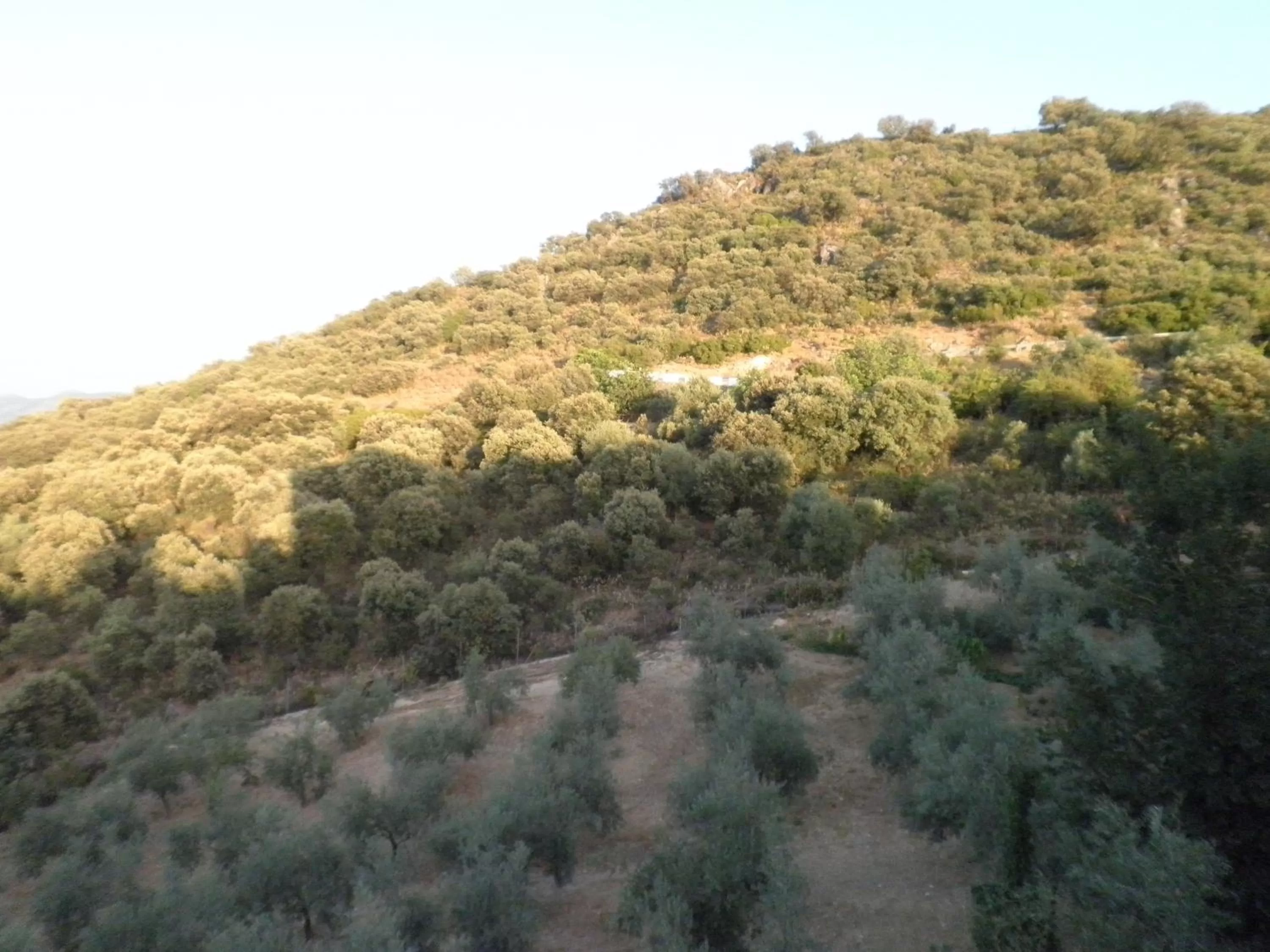 Area and facilities in Hotel Sierra de Araceli Lucena