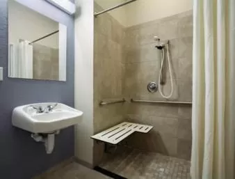 One-Bedroom Suite - Disability Access/Non-Smoking in Microtel Inn & Suites by Wyndham Stanley