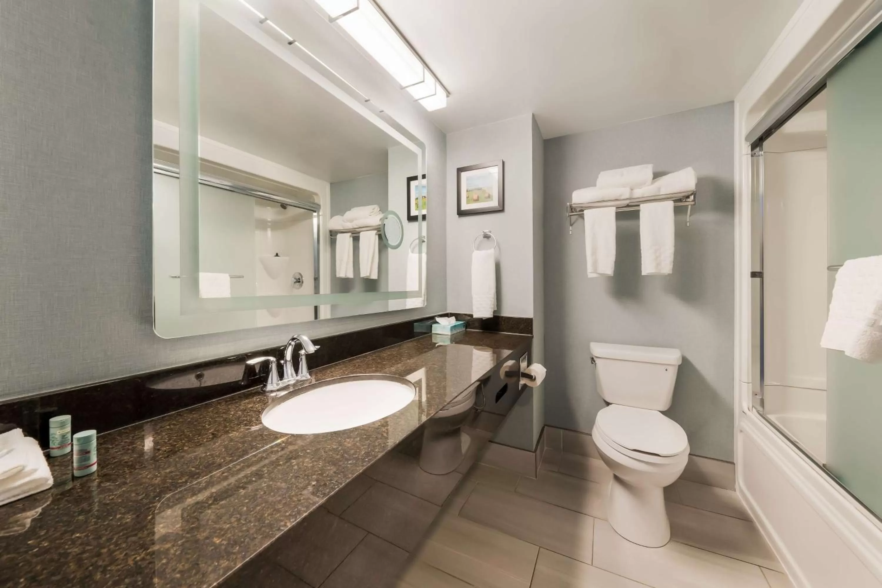 Bathroom in Best Western Belleville