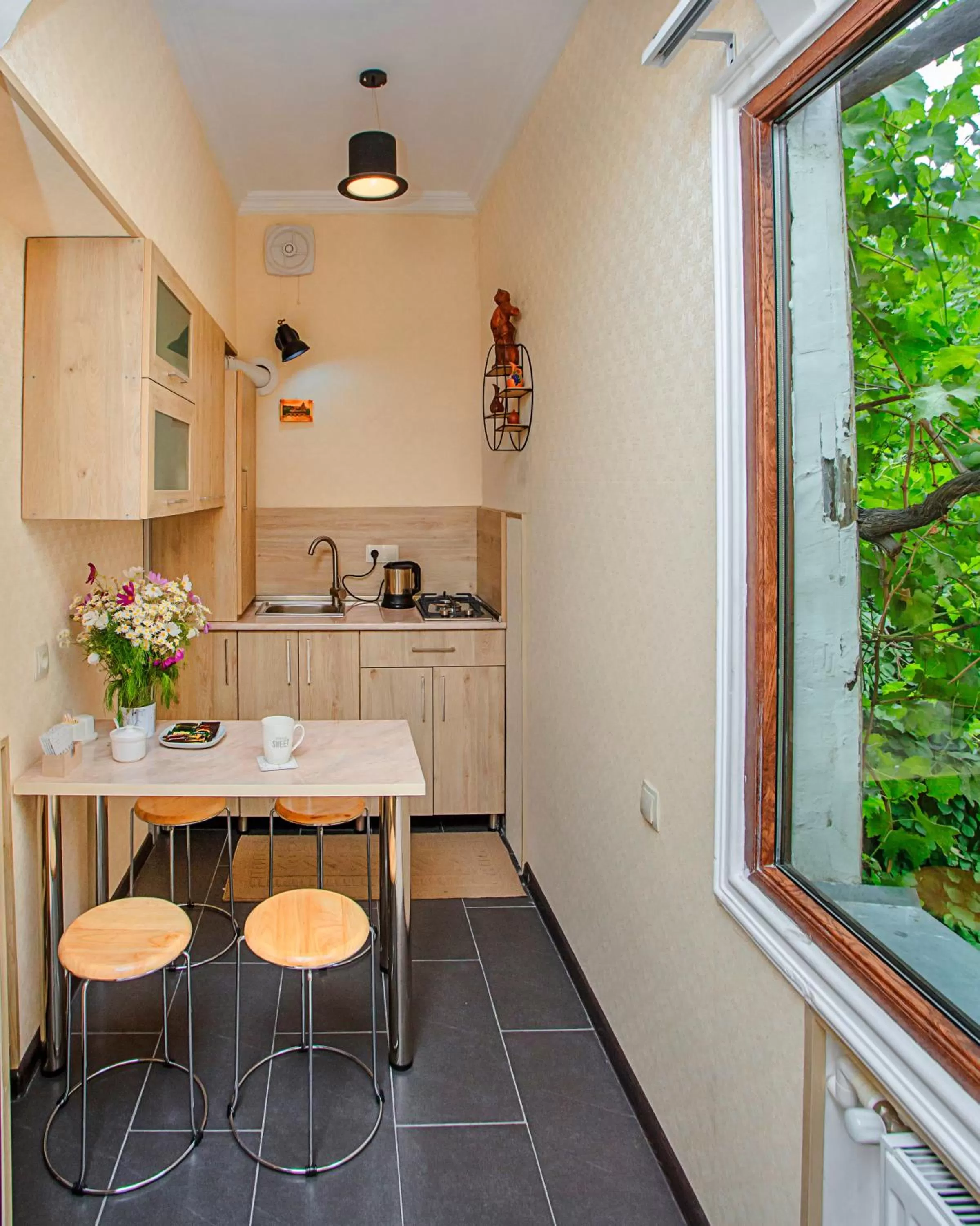 Kitchen/Kitchenette in Teatron