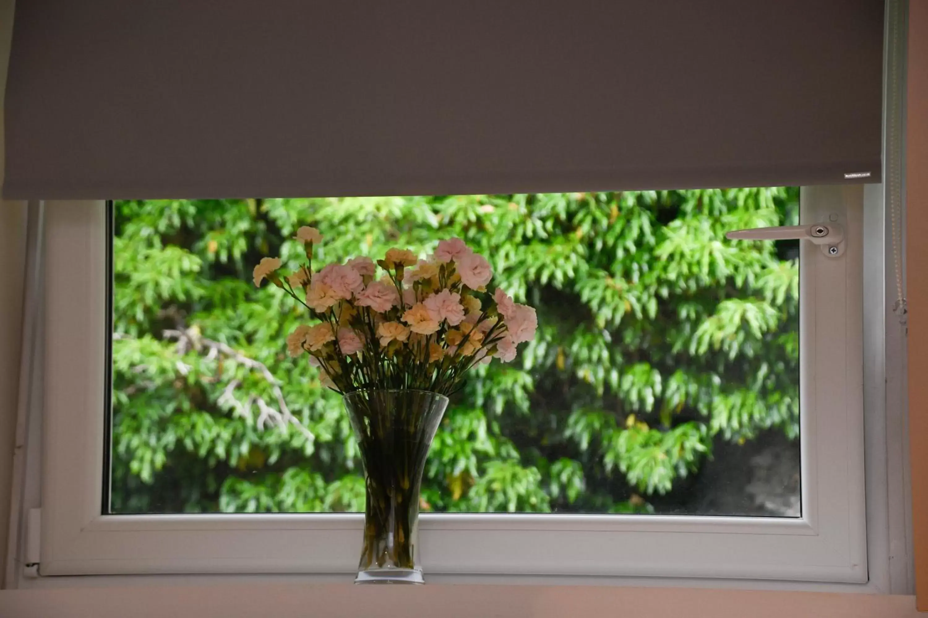 Deluxe King Room in Fairhaven, Oban Town Centre Deluxe King Room in Fairhaven, Oban Town Centre