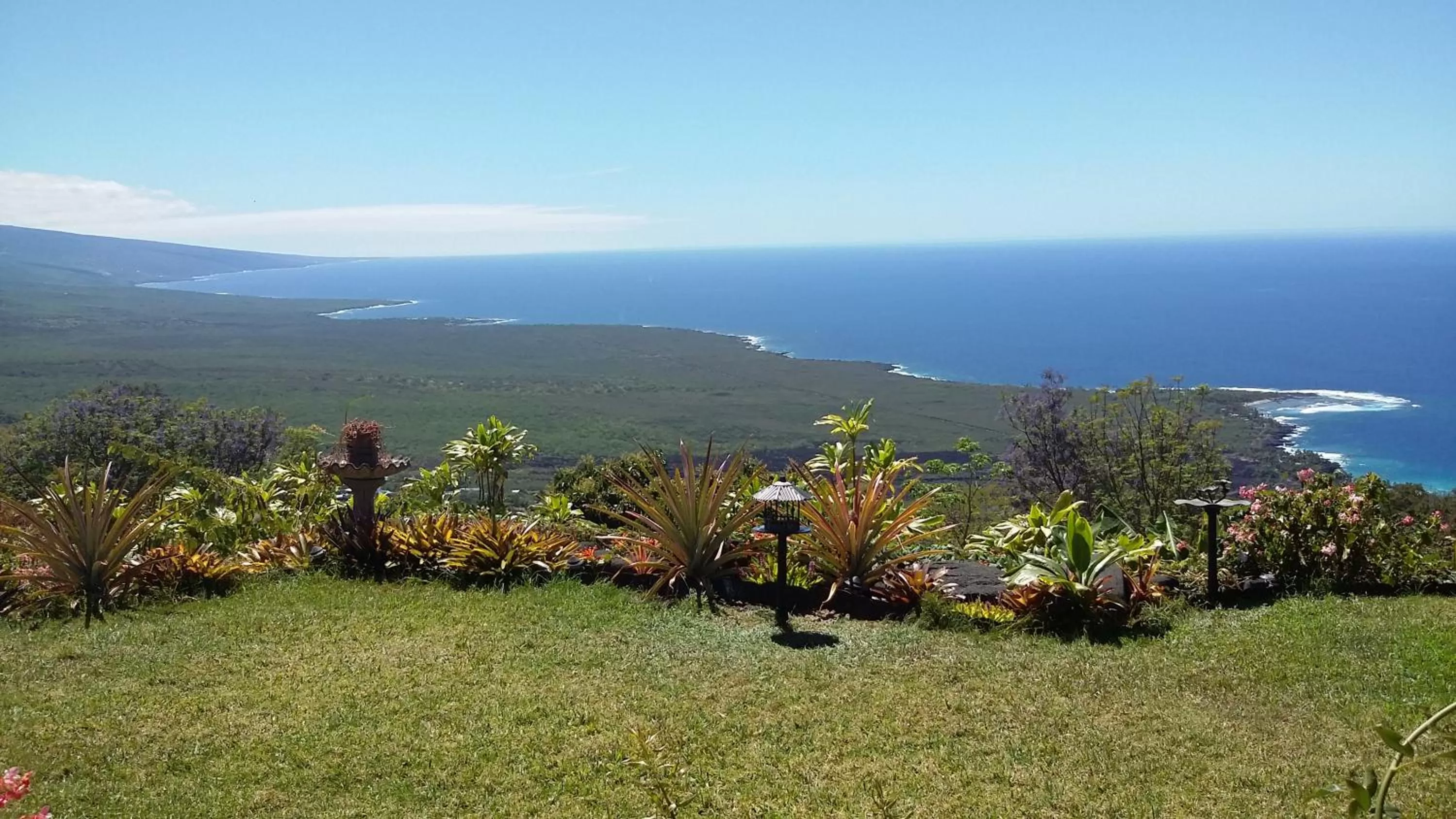 Garden view, Natural Landscape in Belle Vue Kona Inc