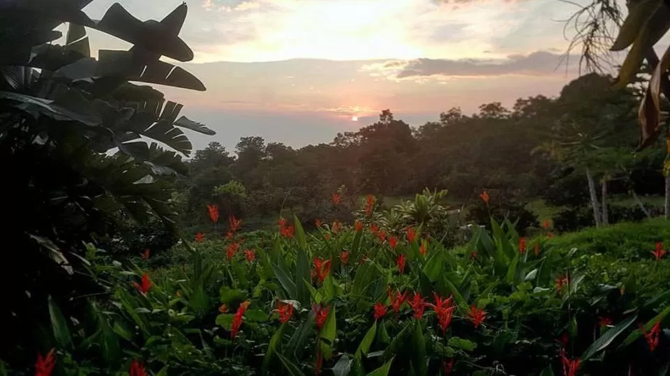 Spring in Hale Hualalai
