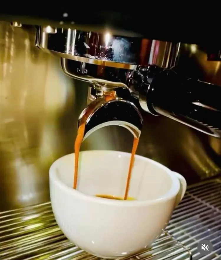 Lounge or bar in Park House Hotel