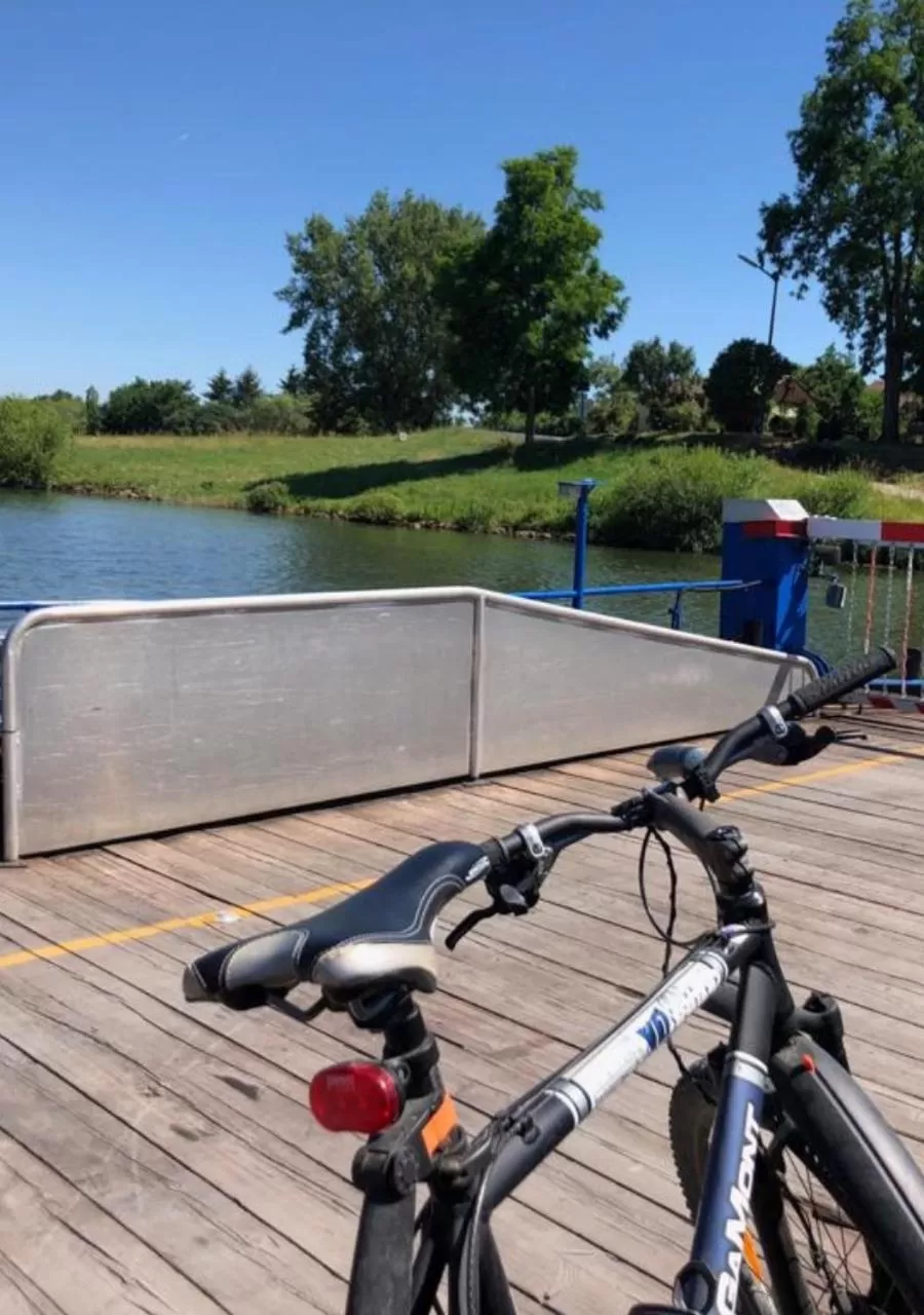 Staff in Aparthotel Alte Schmiede Dettelbach