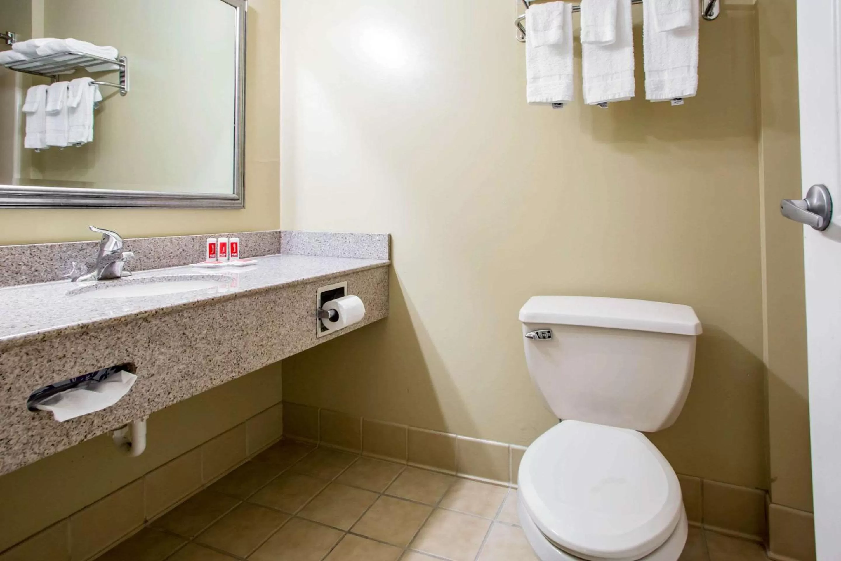 Bathroom in Econo Lodge Harrisburg - Hershey