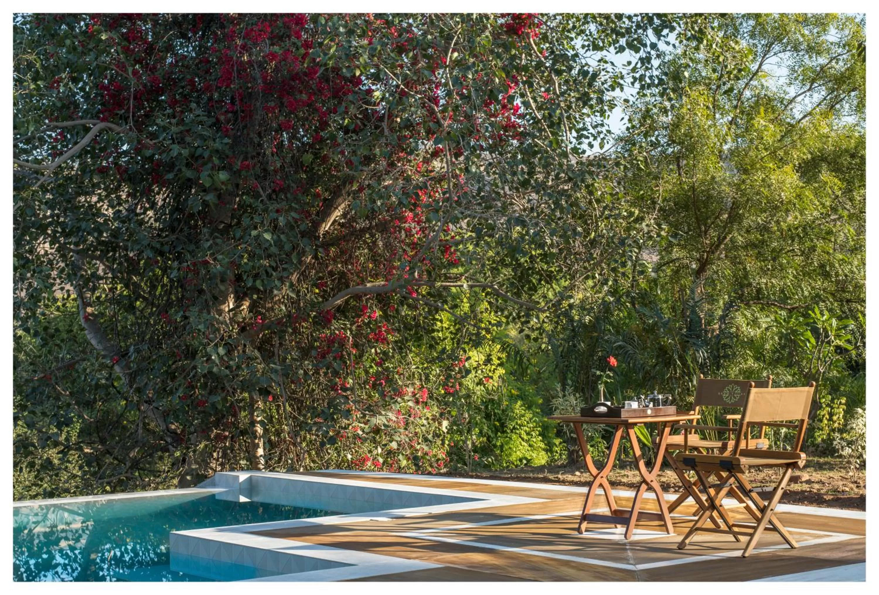 Swimming pool in Fateh's Retreat, Homestay