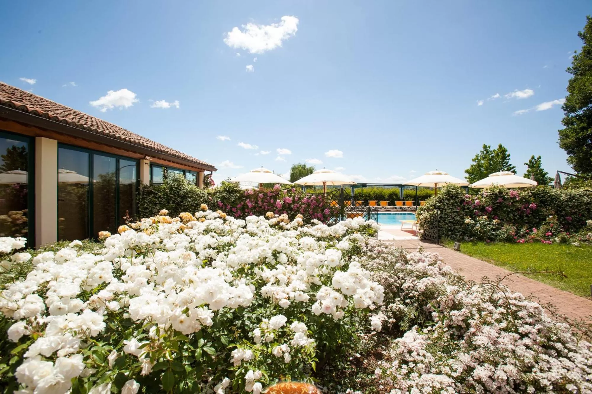 Day in Villa Abbondanzi Resort