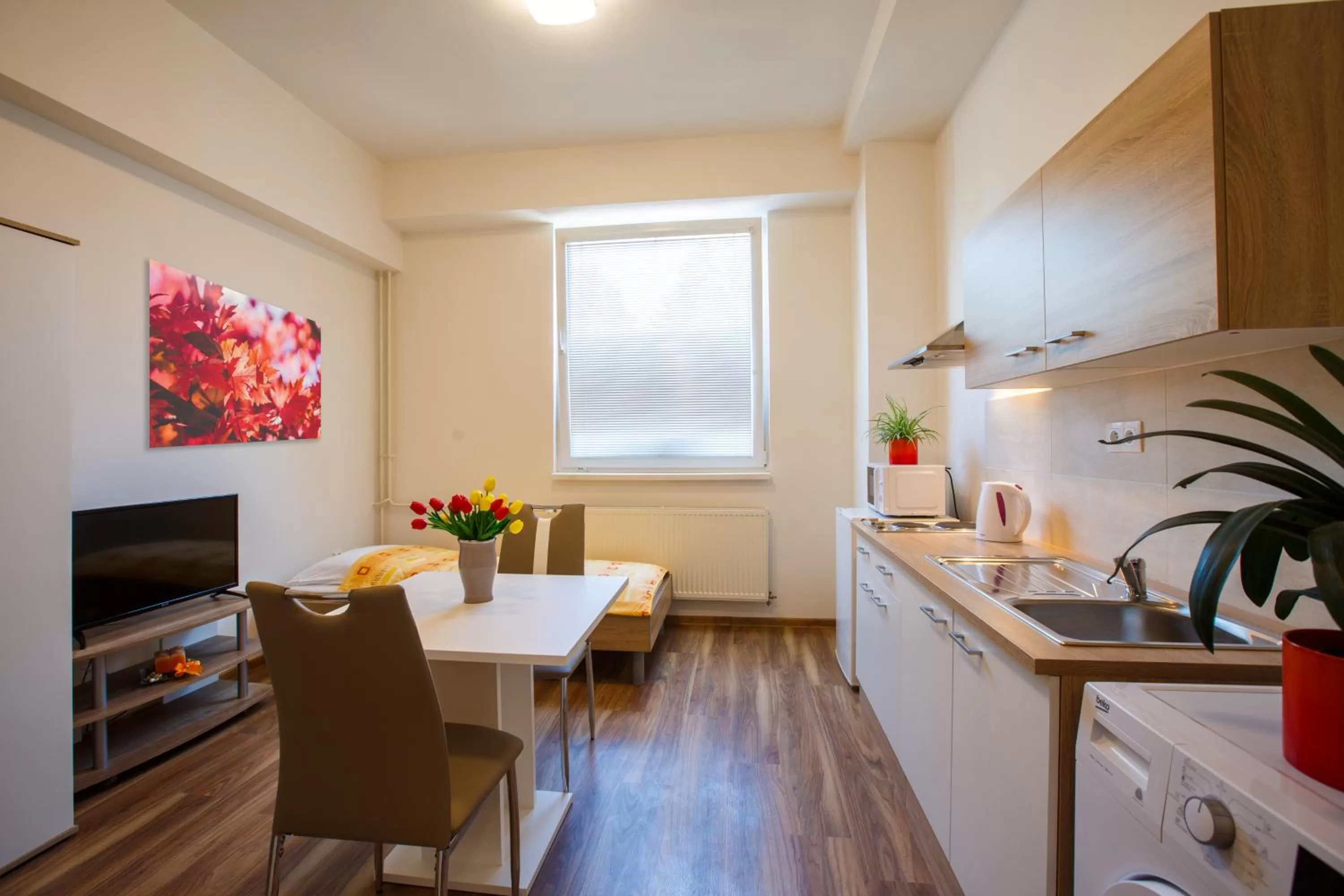 Decorative detail, Kitchen/Kitchenette in Agro Complex Apartments