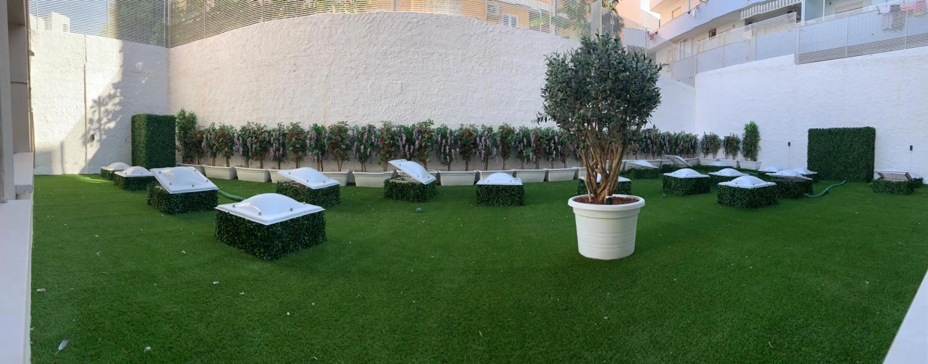 Garden in Hotel El Balear