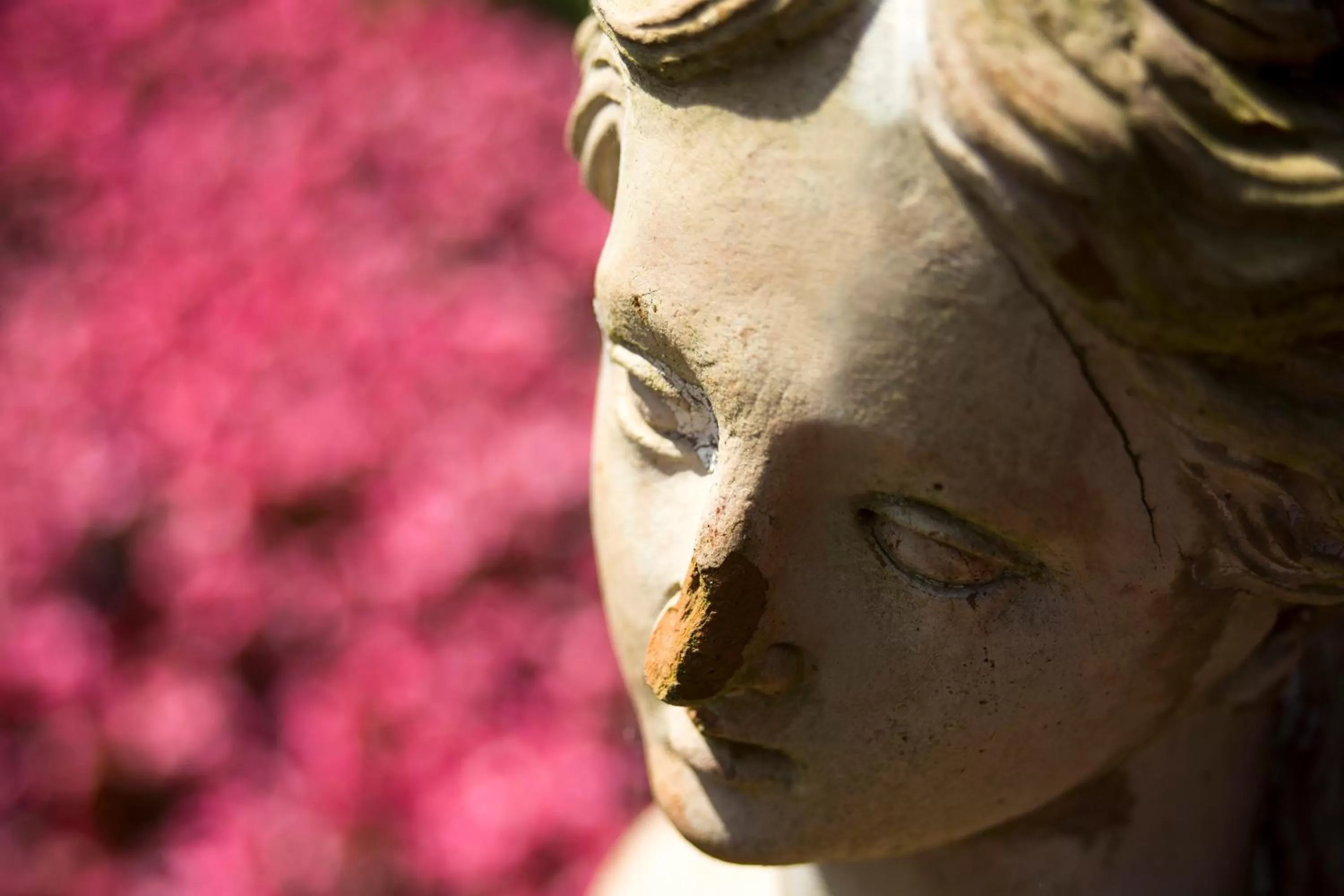 Decorative detail in Certosa di Pontignano Residenza d'Epoca - Place of Charme