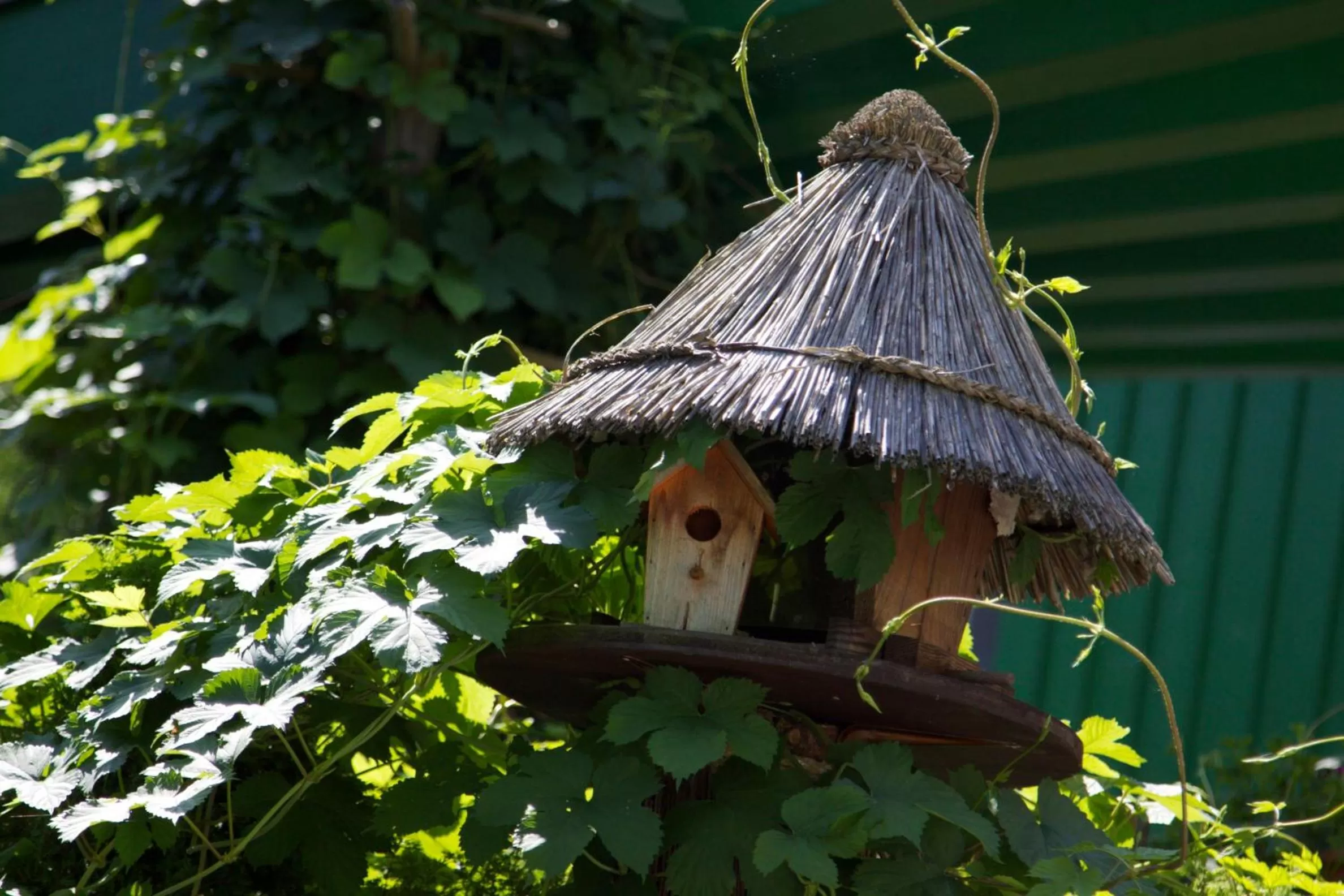 Area and facilities in Hotel Zur Kutsche