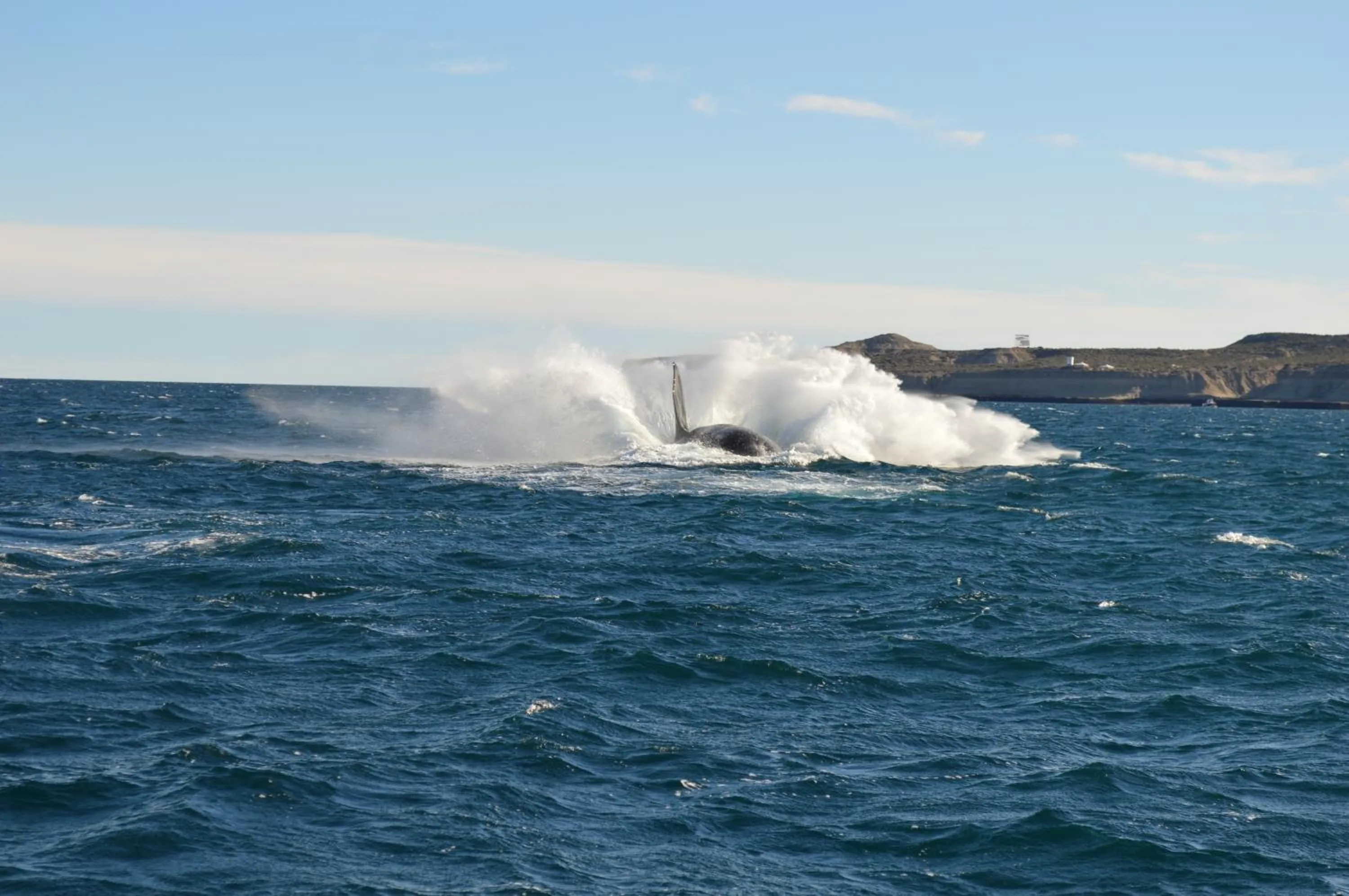 Activities in Hotel Rayentray Trelew