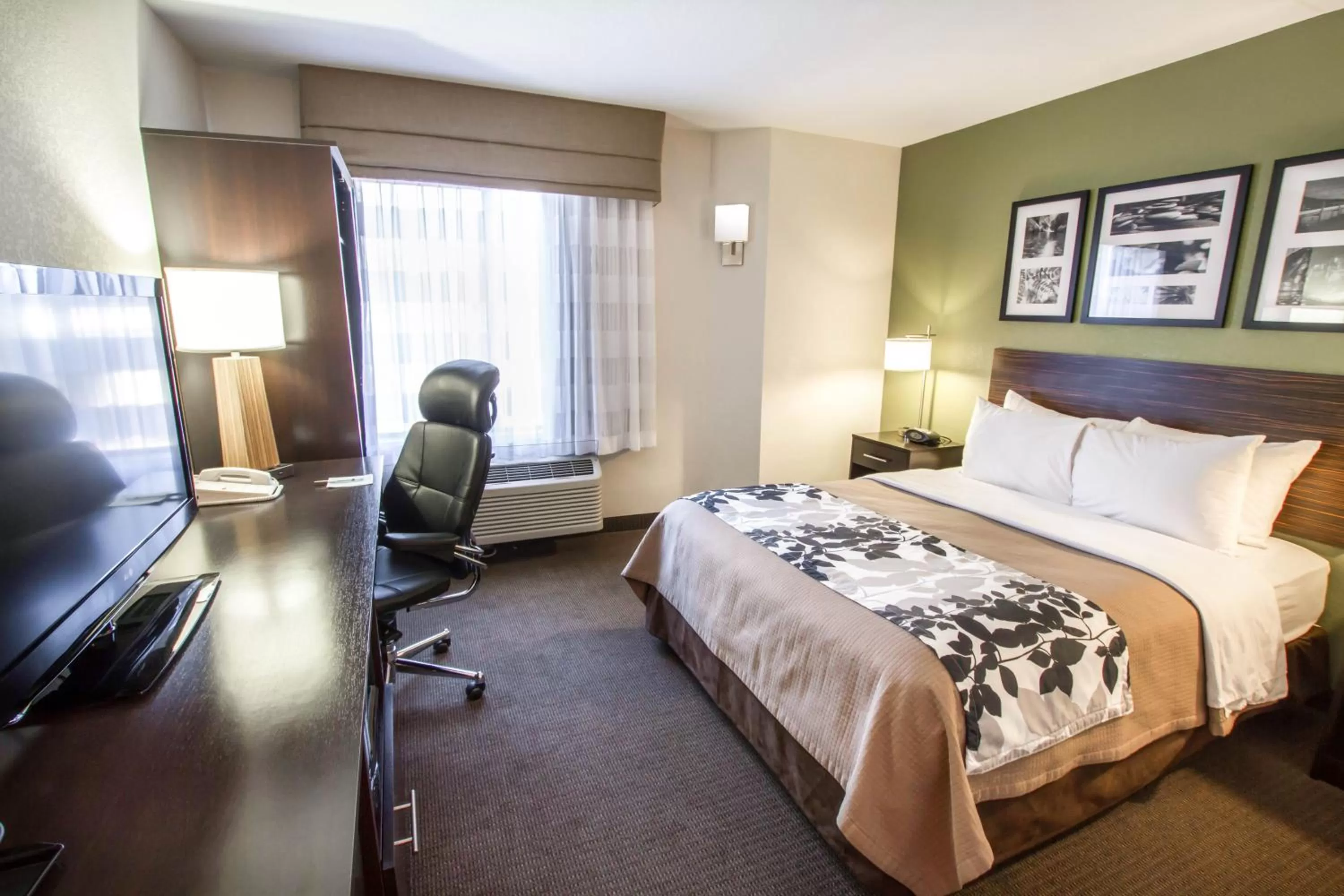 King Room - Non-Smoking in Sleep Inn North Scottsdale near Mayo Clinic