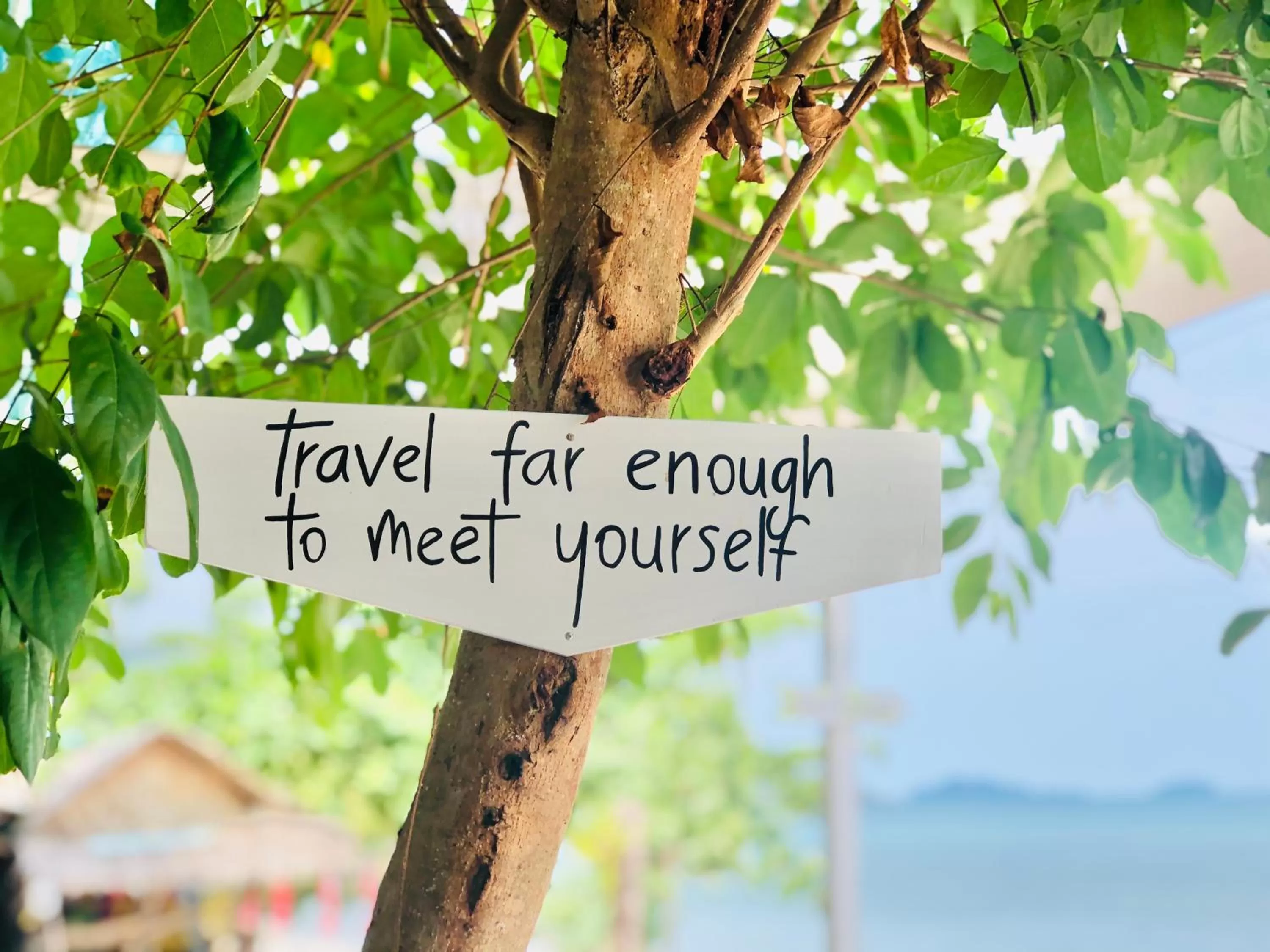 Indie Beach Bungalows