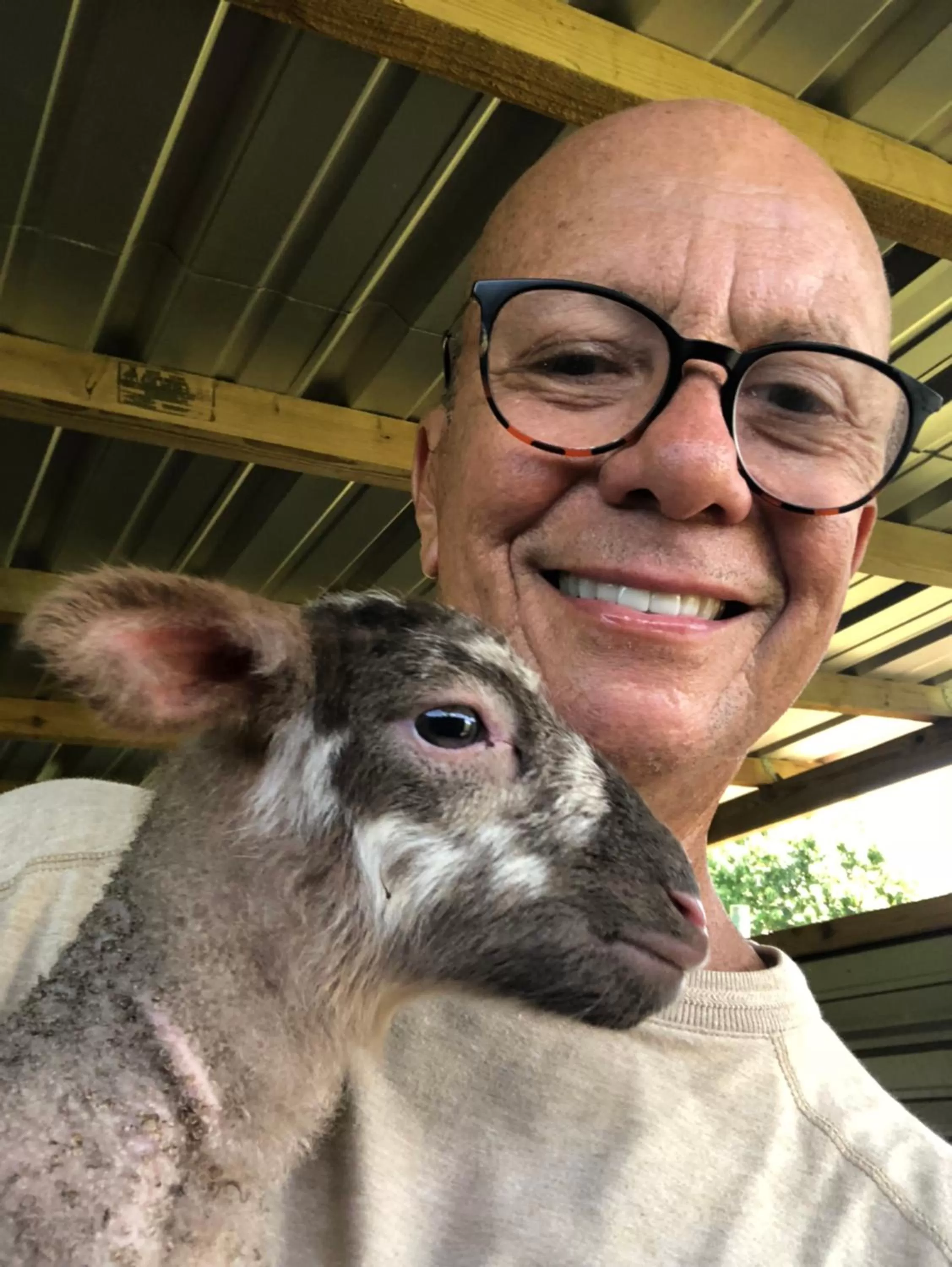 Other Animals in 4 Casitas