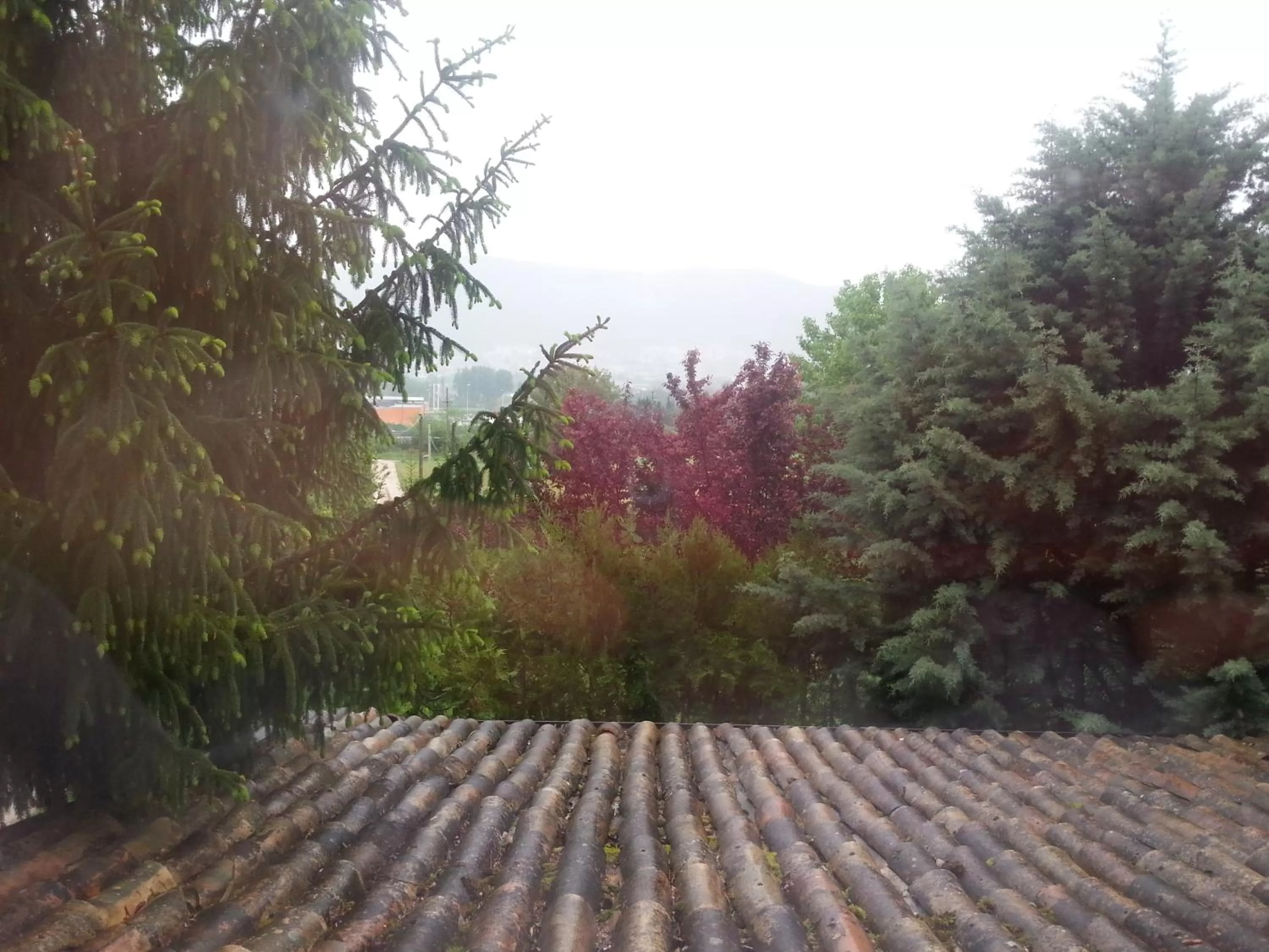 Sunrise in Il GIARDINACCIO Agriturismo