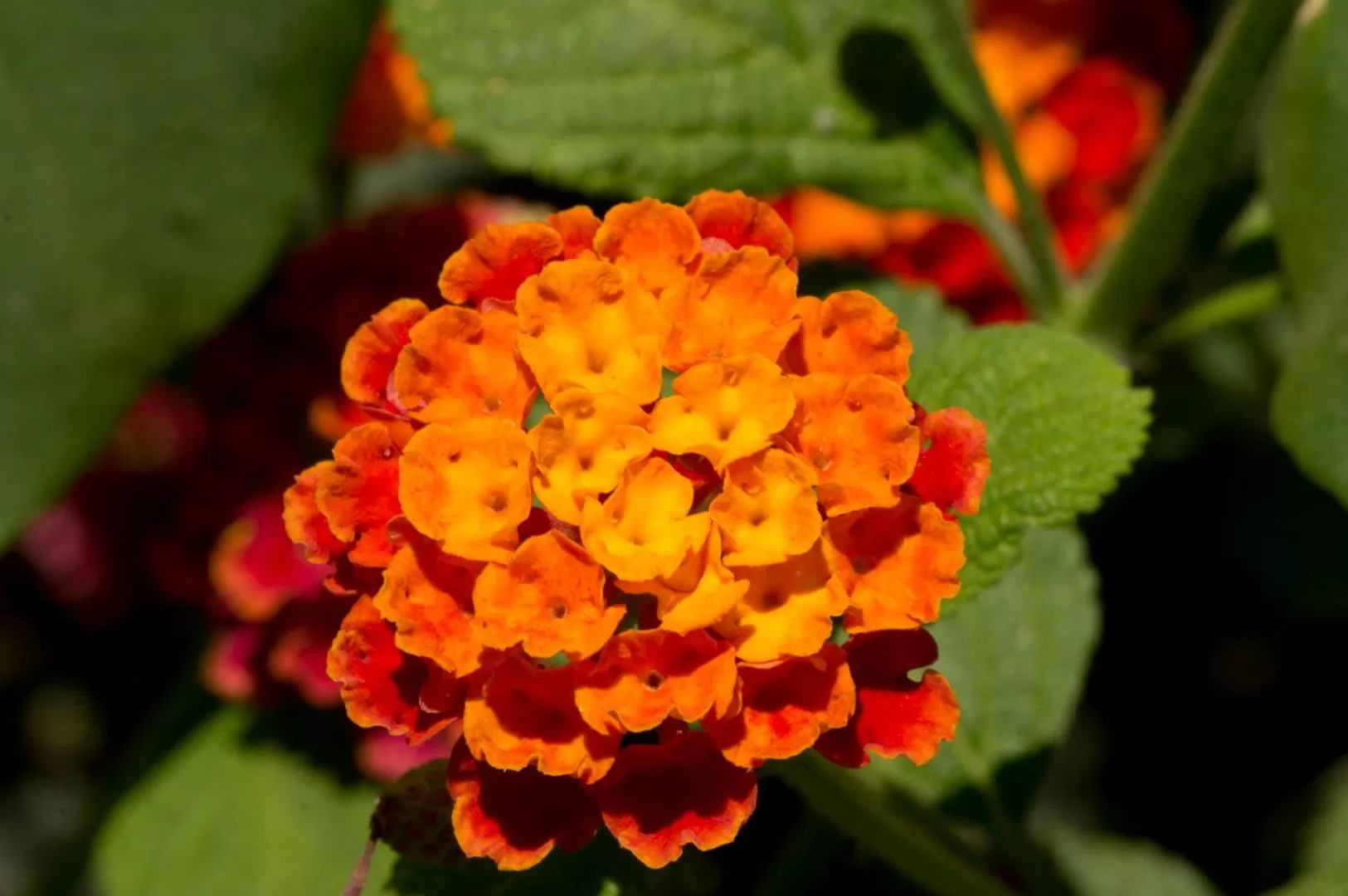 Hôtel A casa di Maria Cicilia