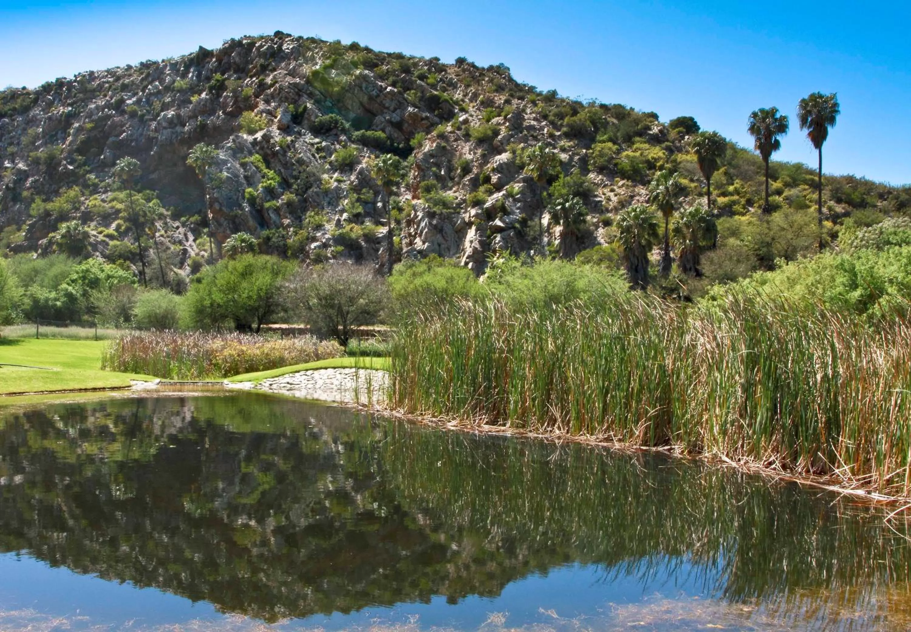 Nearby landmark in Montagu Vines Guesthouse