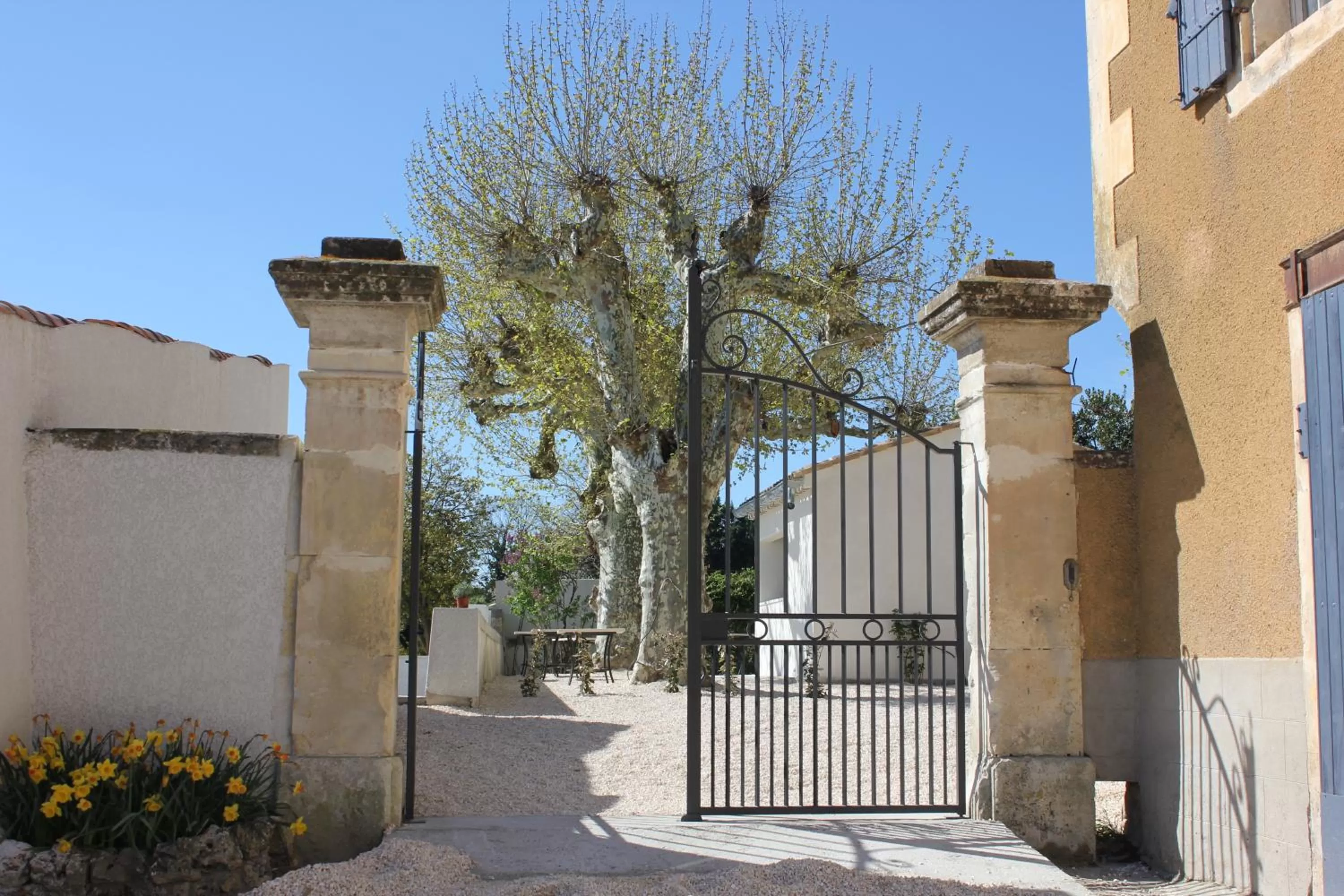 Garden in DOMAINE FORVENT