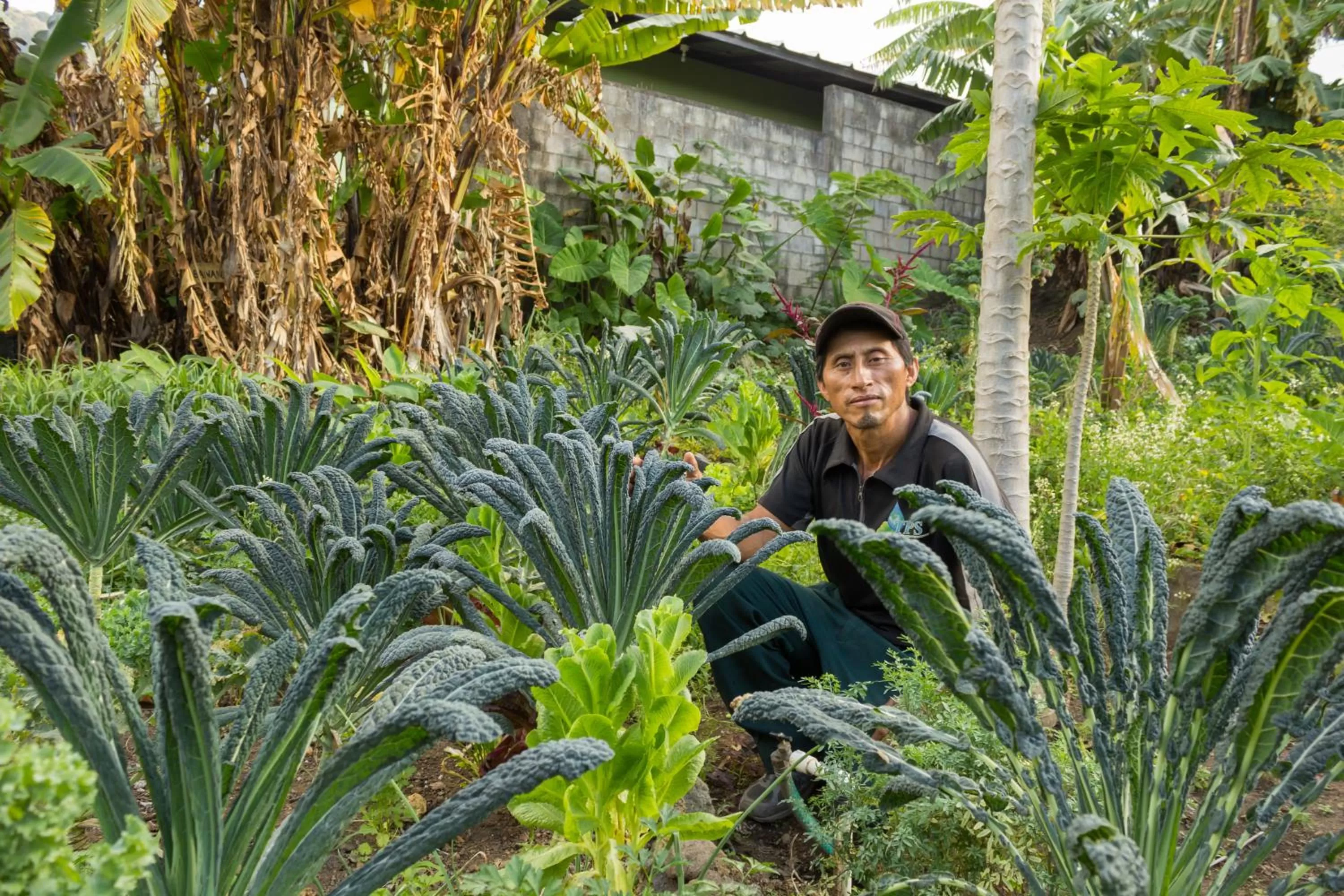 Staff in Hotel Toliman