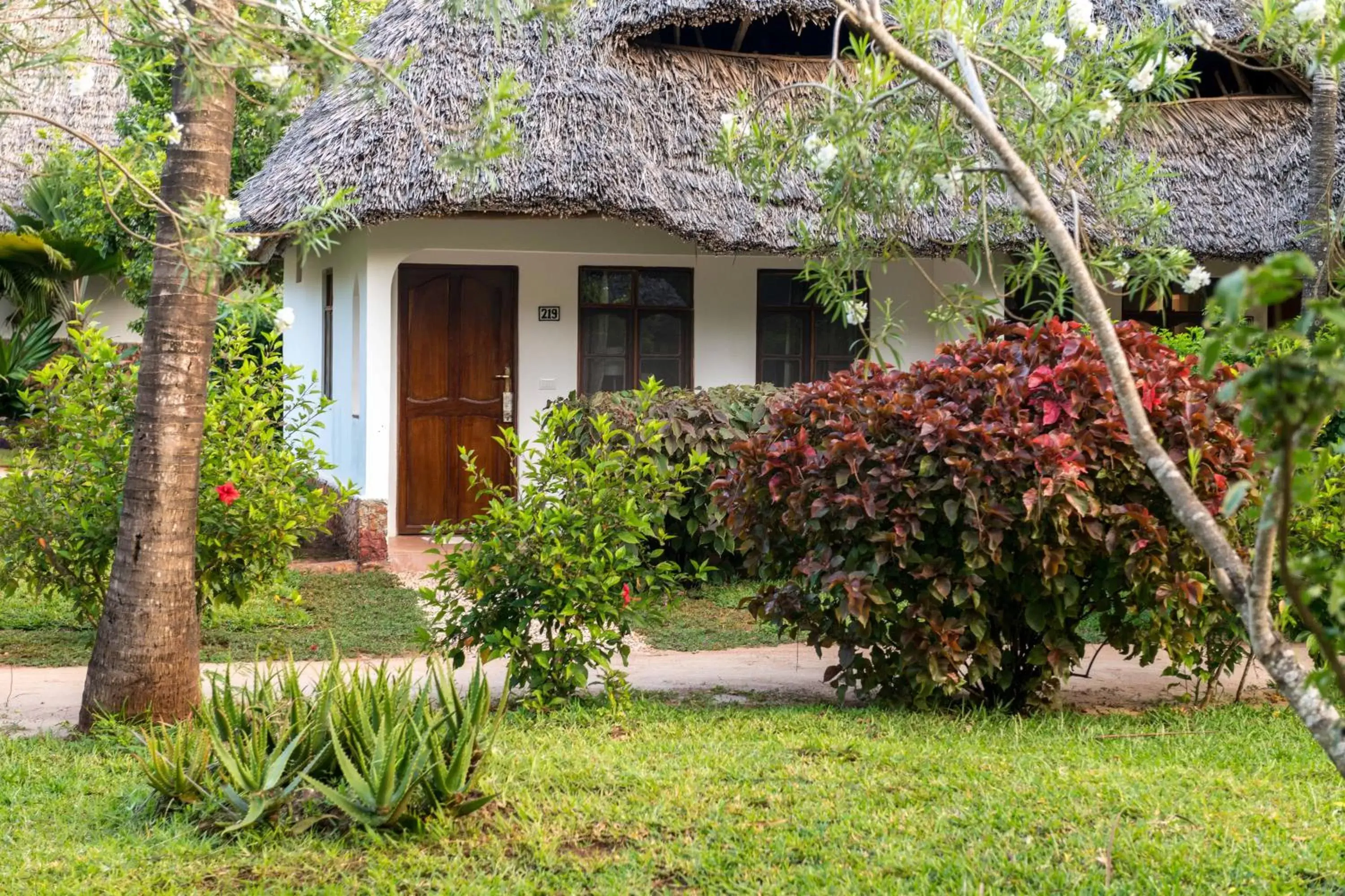 Garden Room in Sandies Baobab Beach Zanzibar Garden Room in Sandies Baobab Beach Zanzibar