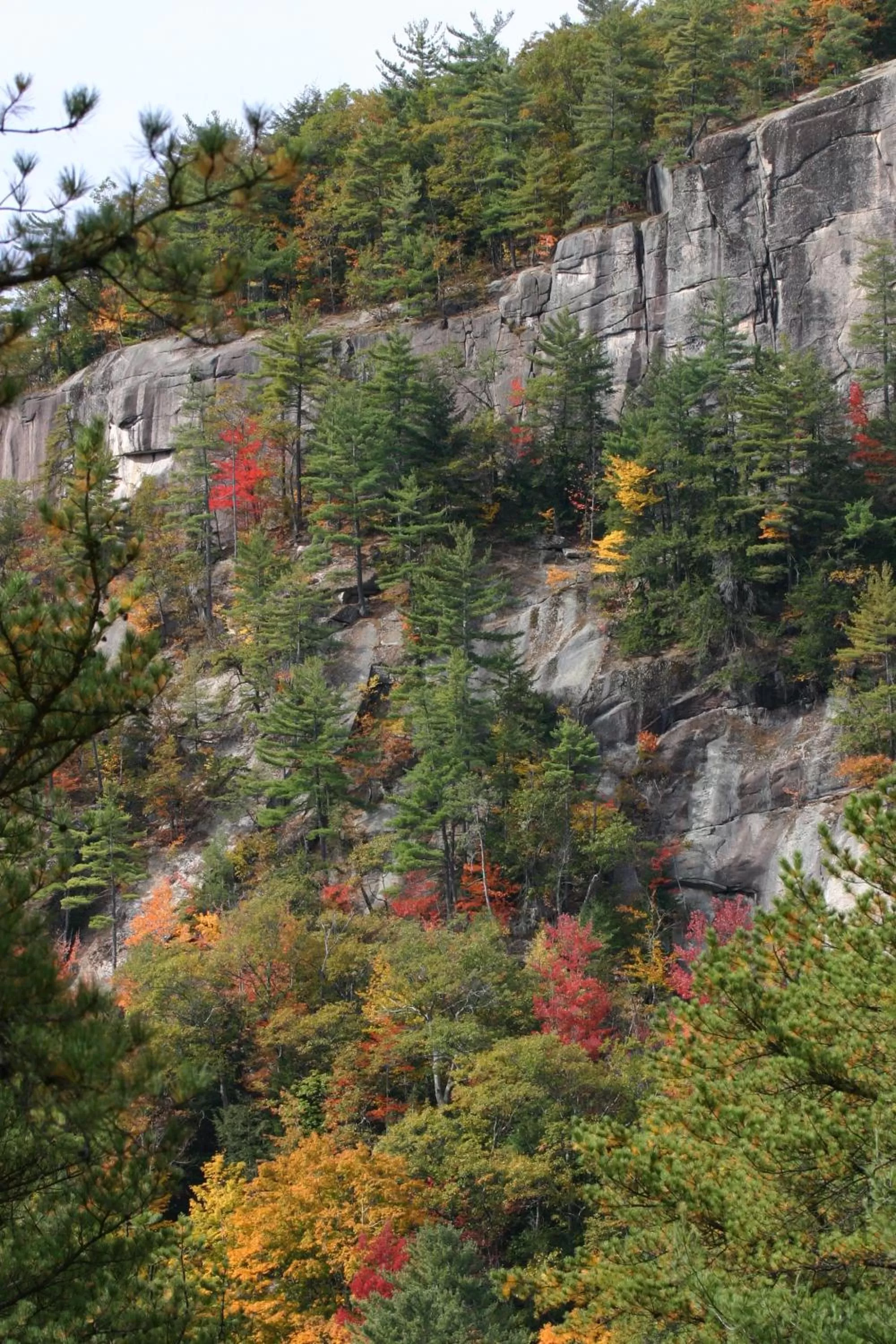 Natural landscape in Colonial Motel