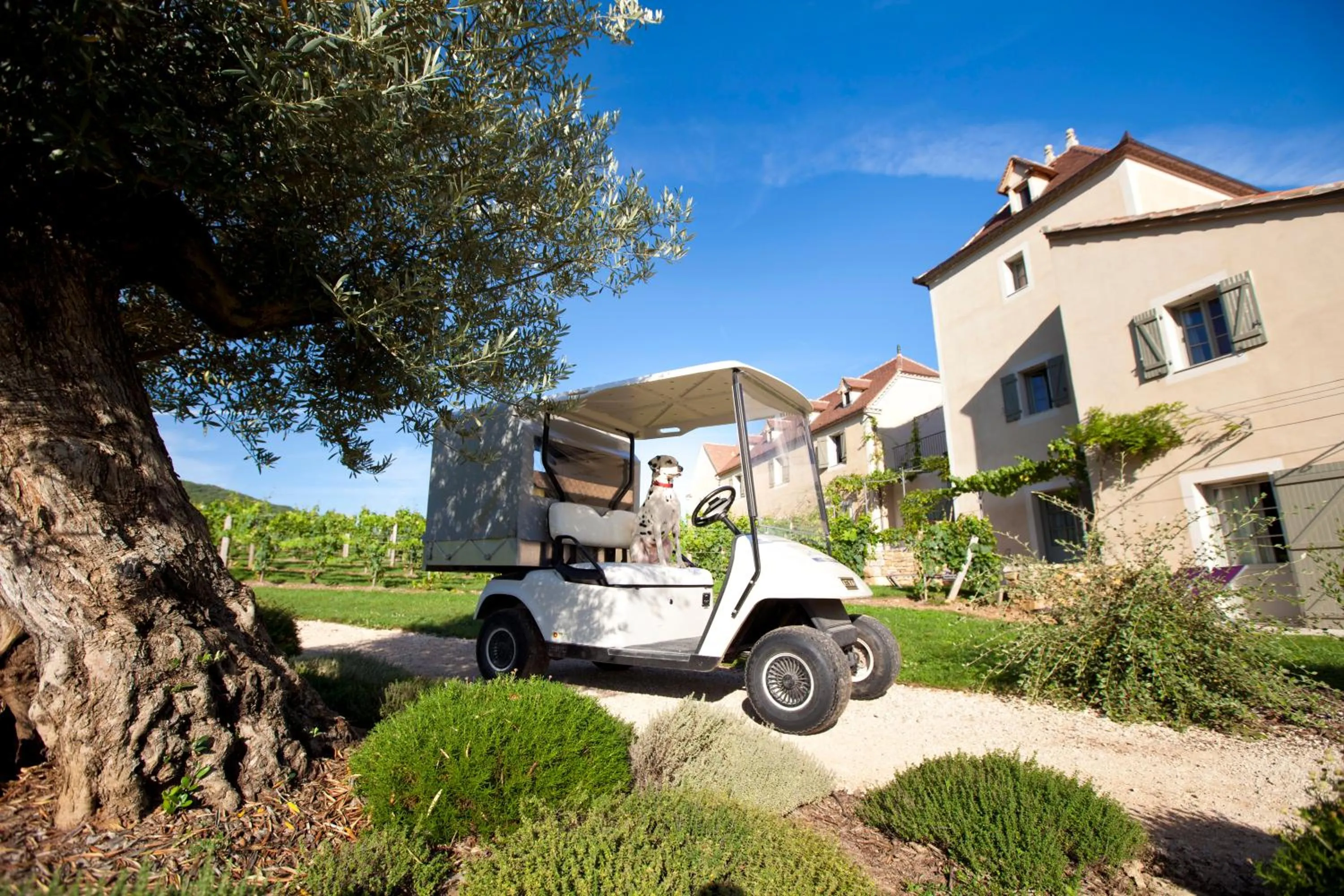 Facade/entrance in Hôtel-Spa Le Saint Cirq