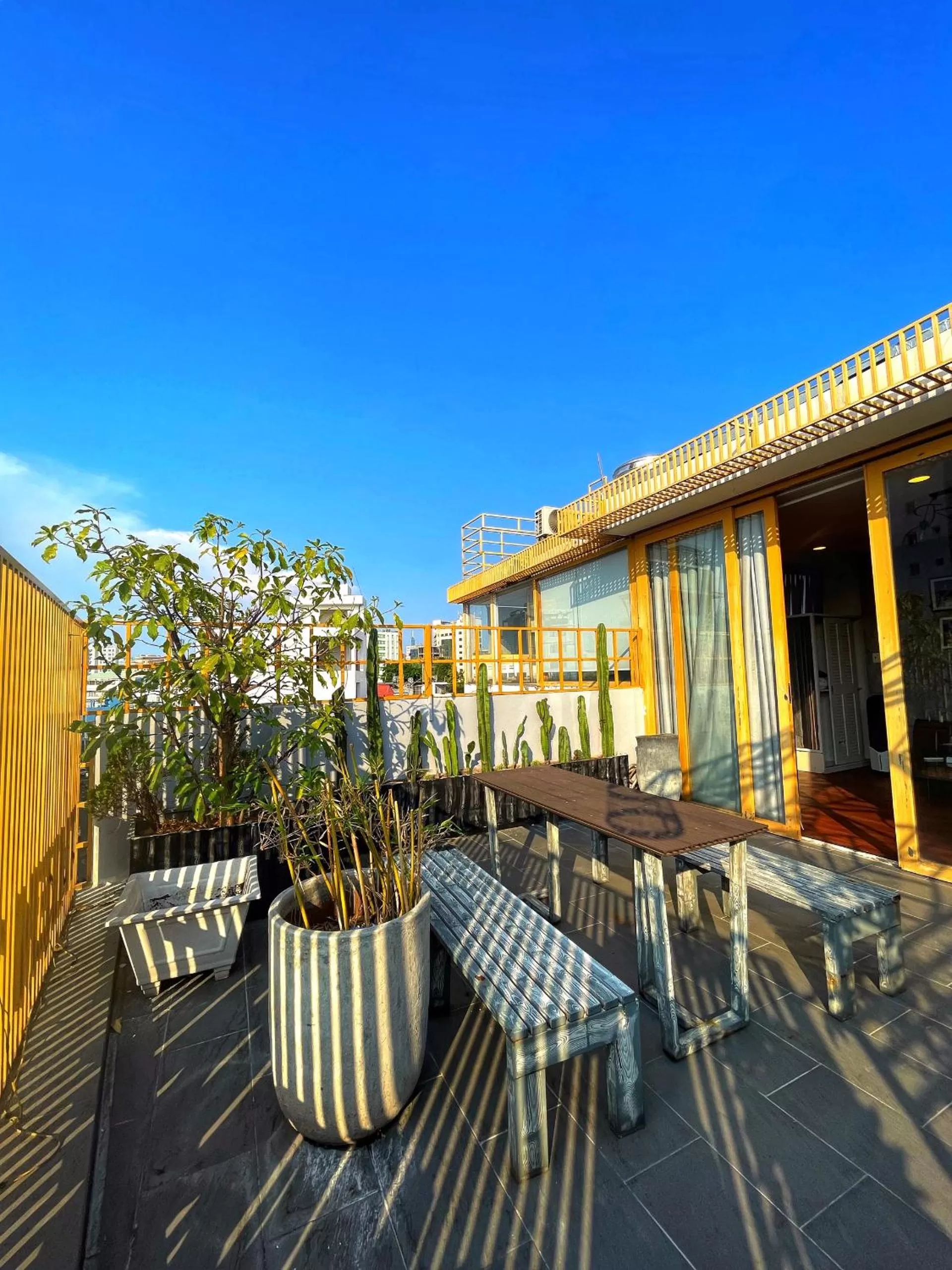 Day in Cactusland Boutique Hotel