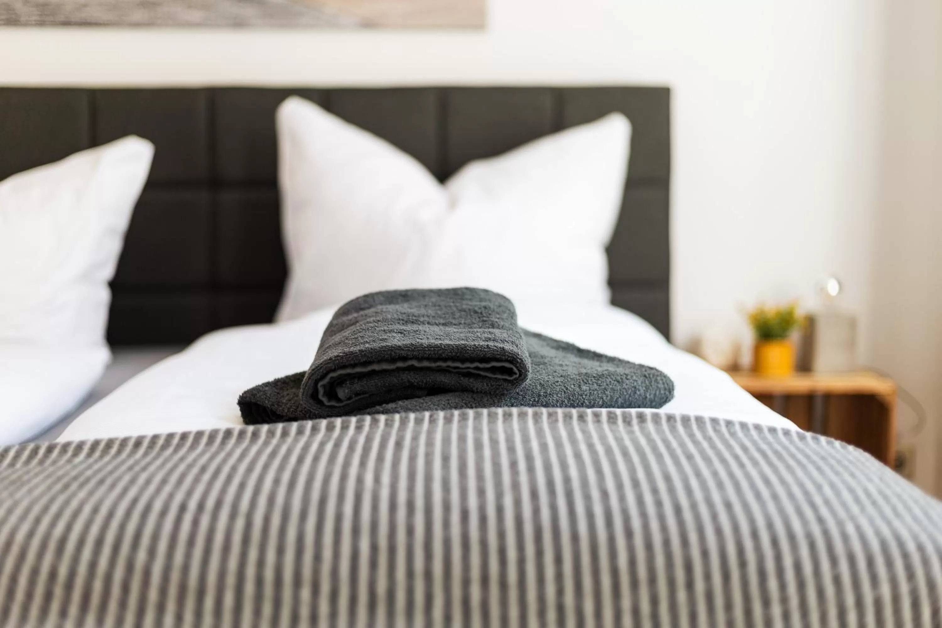 Bed in Ko-Living Space an der Oper - Street Art Design Apartments