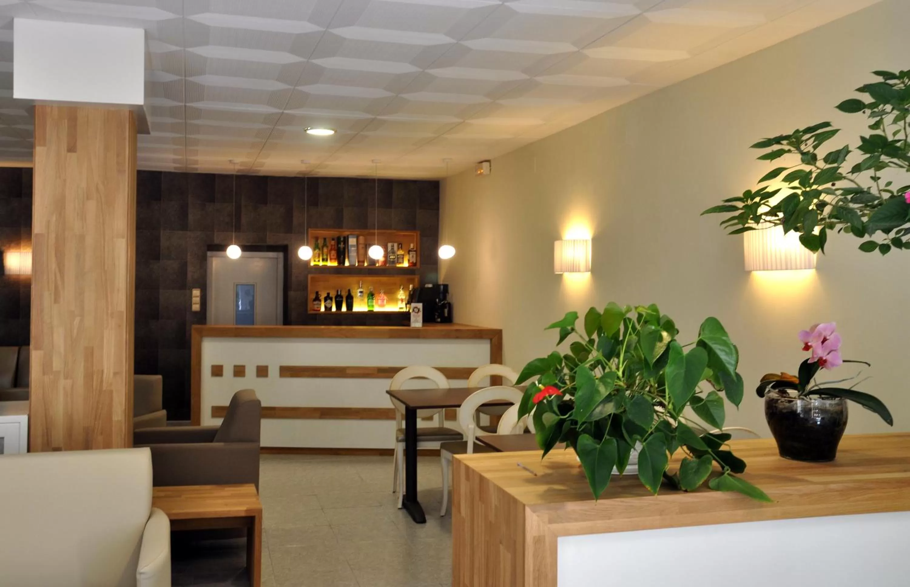 Lobby or reception, Lobby/Reception in Hotel Catalunya Ribes de Freser