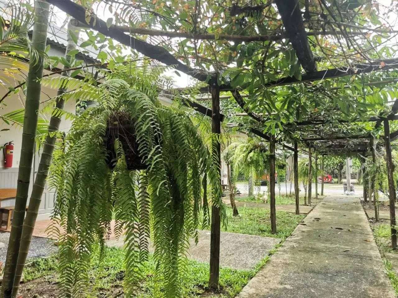 แกรนด์ ฟอเรสท์ Grand Forest