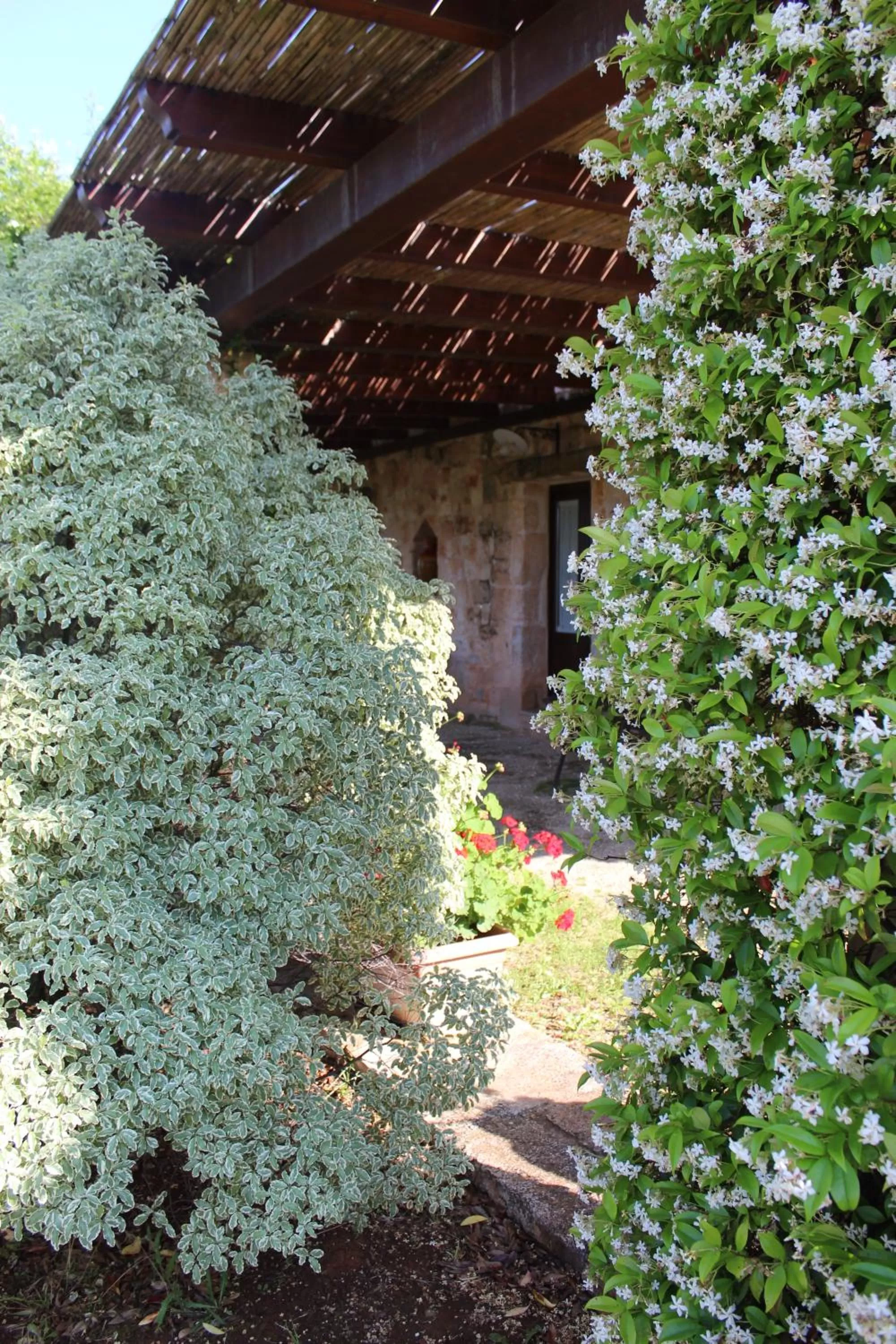 Garden in Masseria Tolla