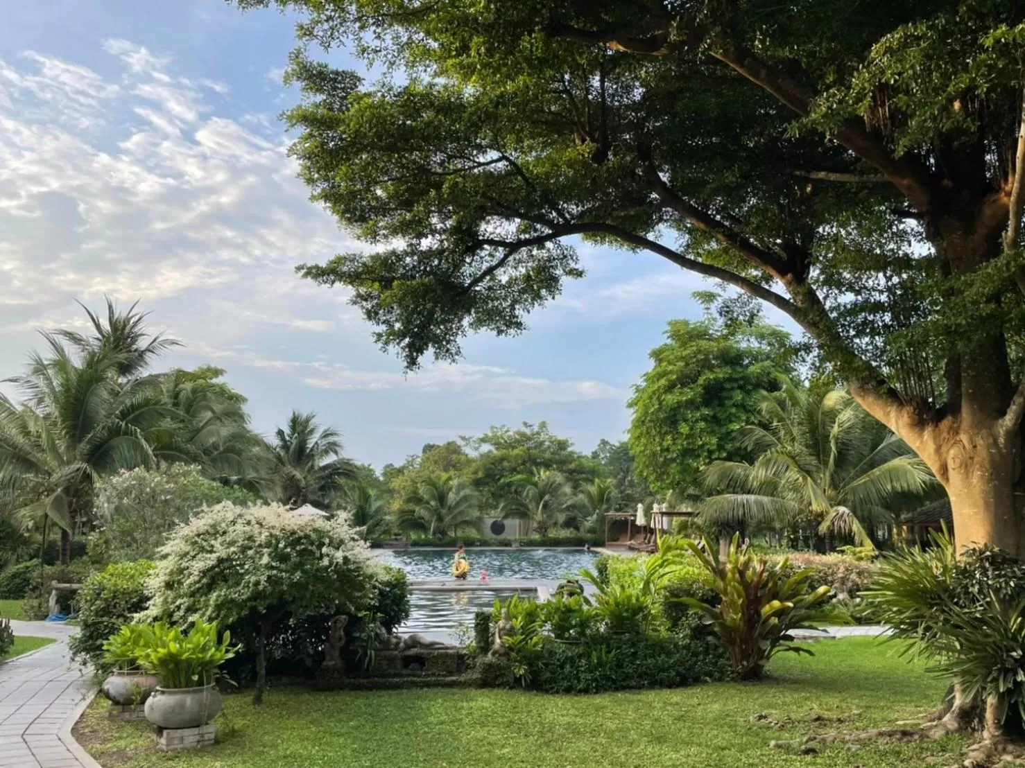 Natural landscape in Royal River Kwai Resort and Spa