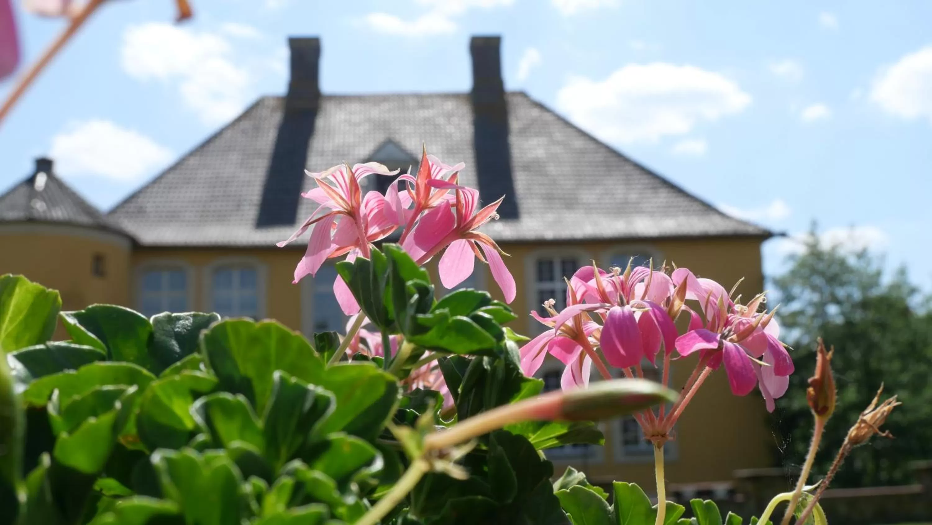 Property building in Hotel Schloss Diepenbrock