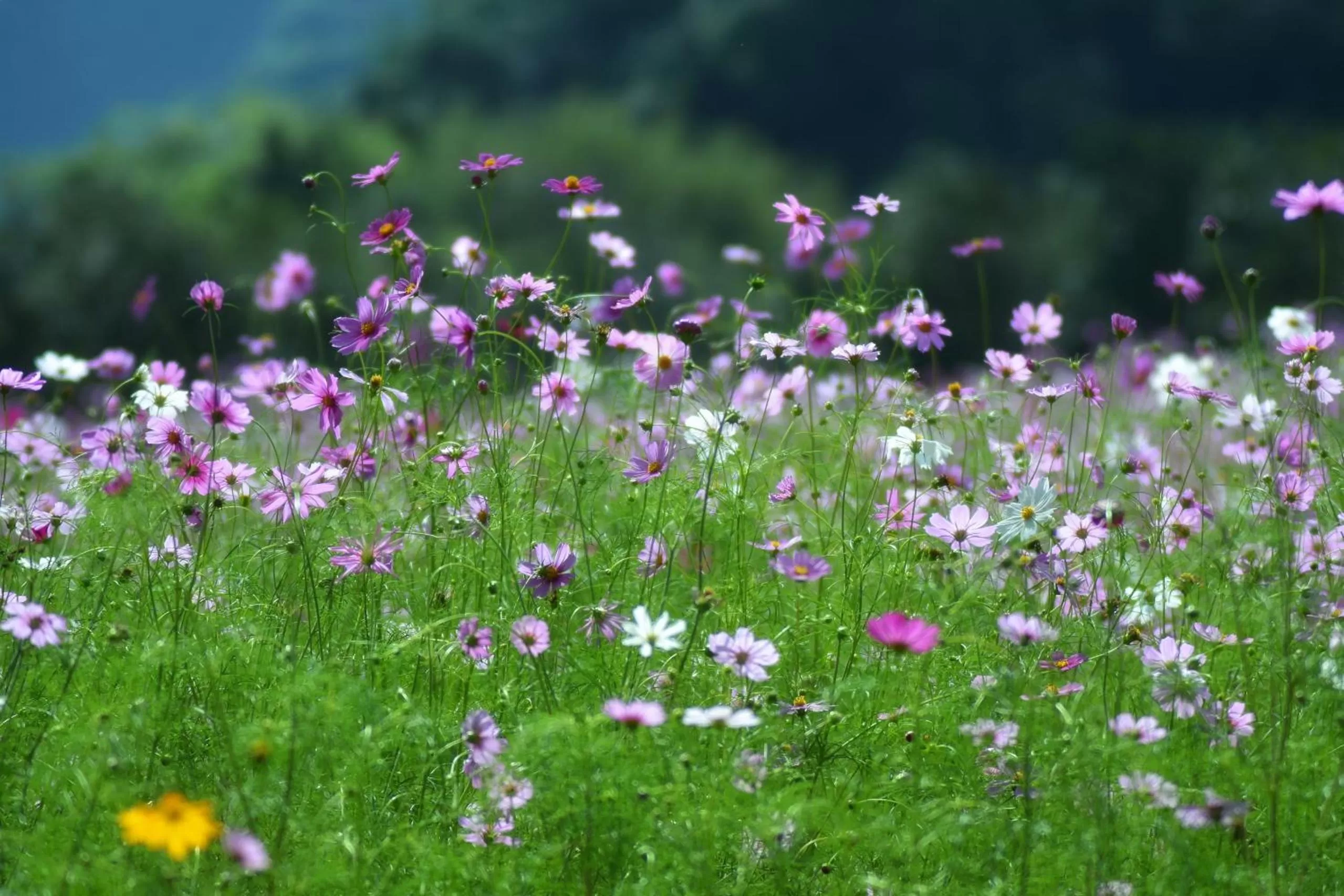 Natural landscape in Thung Nham Resort