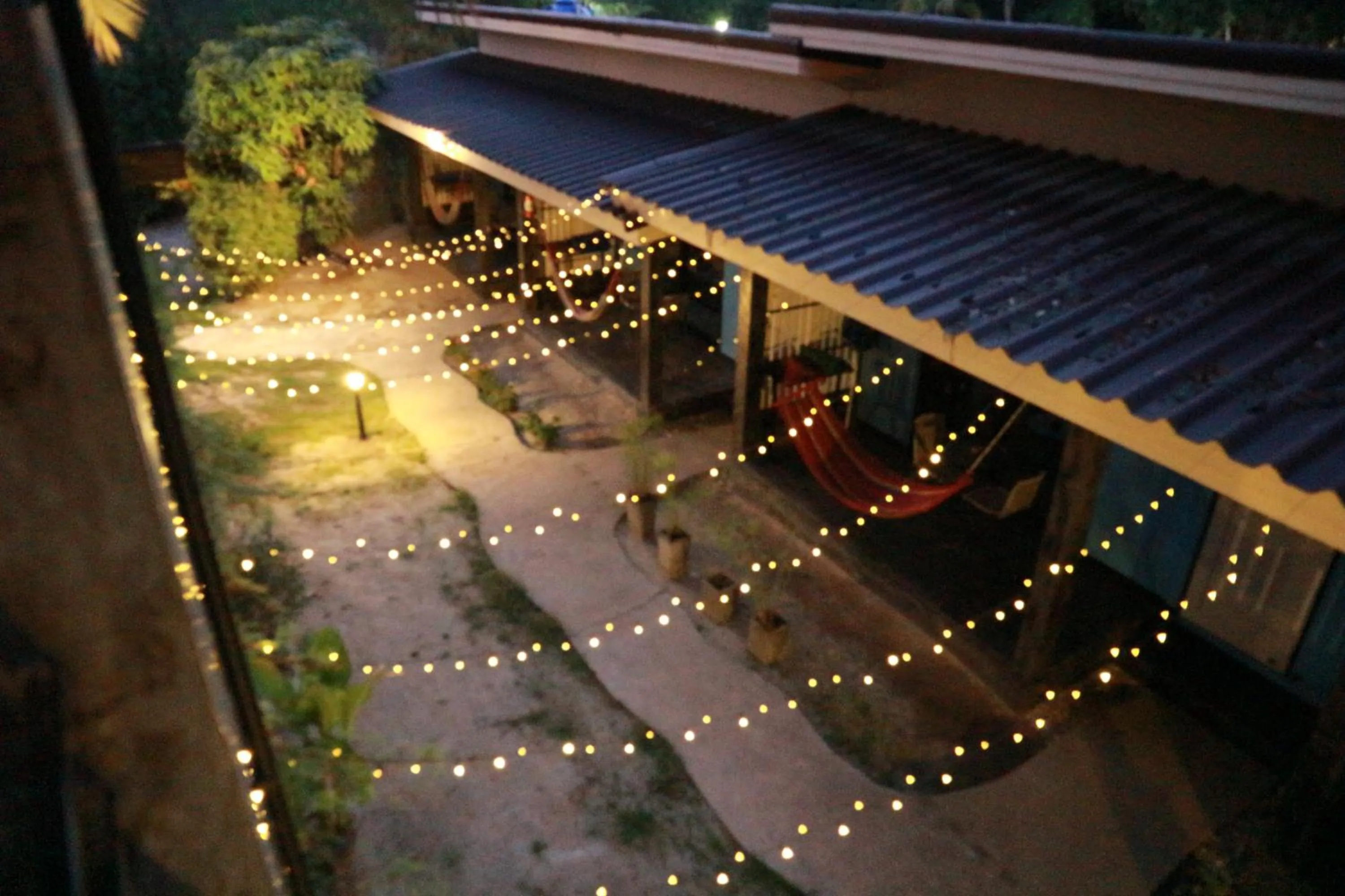 Garden in Raven Blue