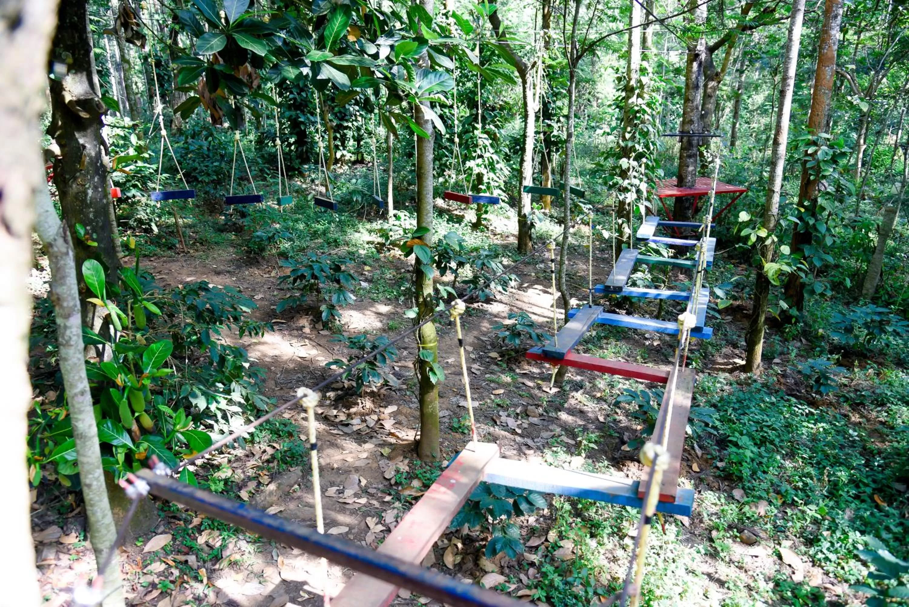 Activities in The Spectrum Resort, Chikmagalur