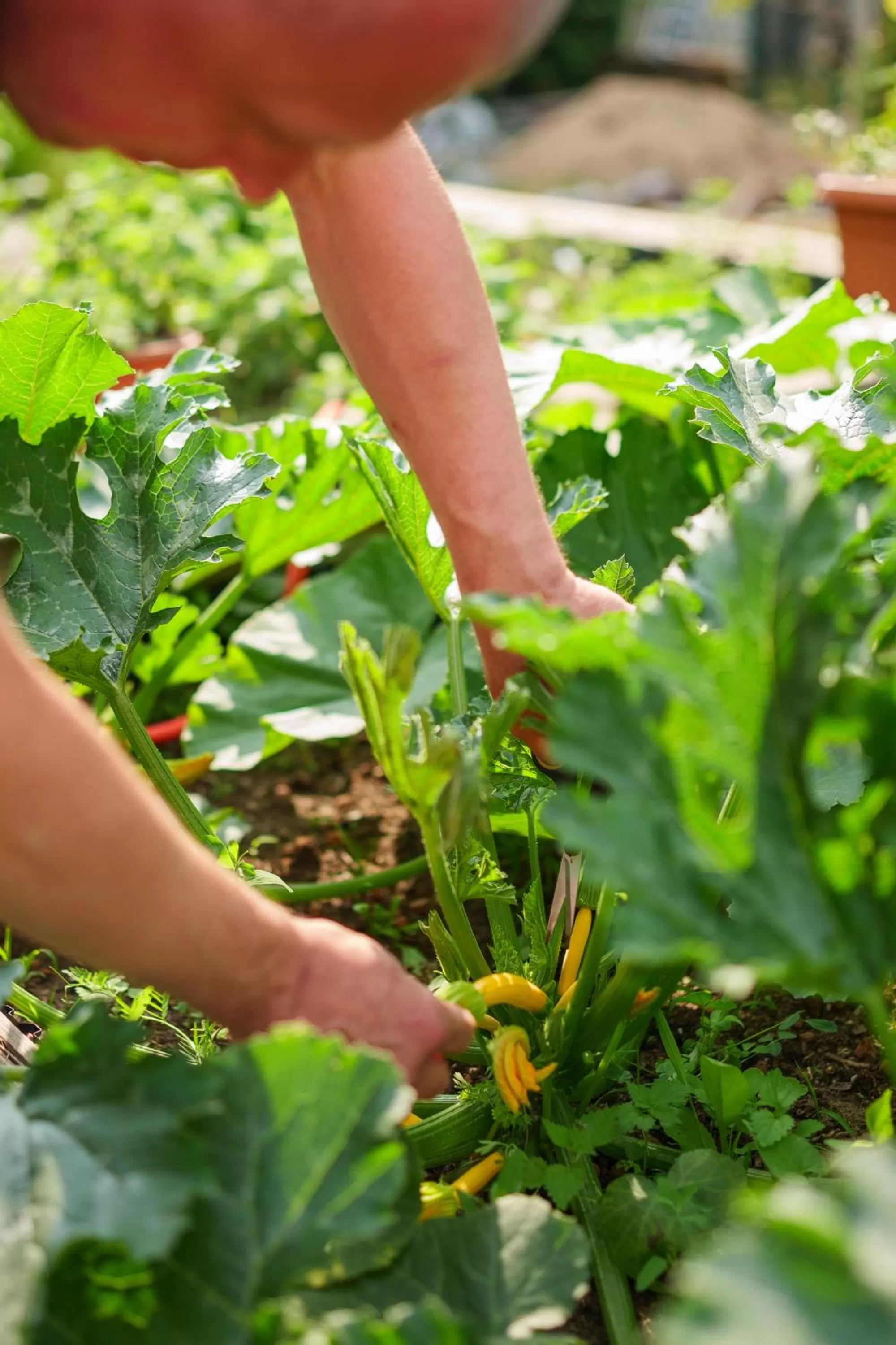 Garden in Seepark Hotel am Wandlitzsee