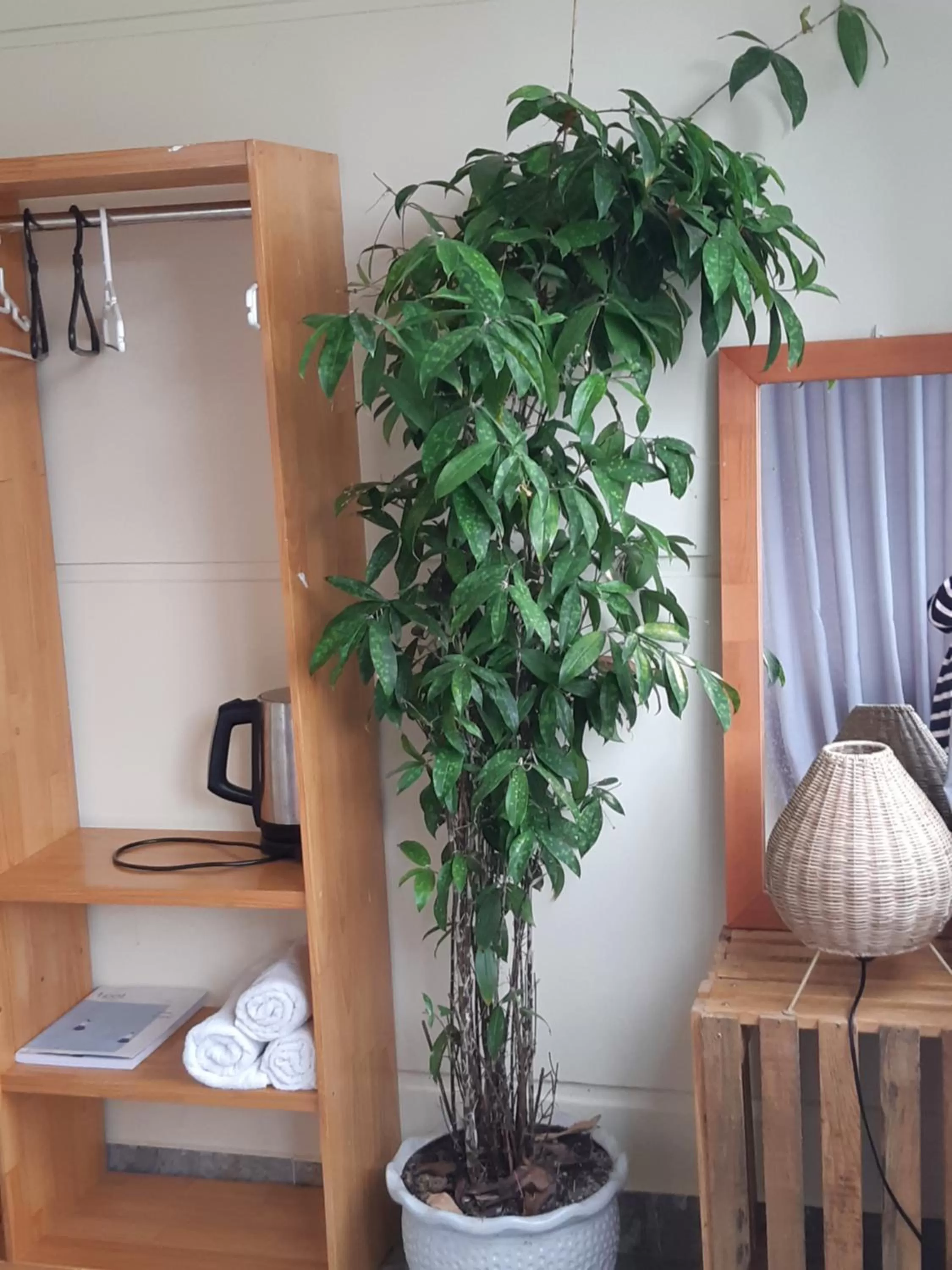 Bathroom in My Dream hostel