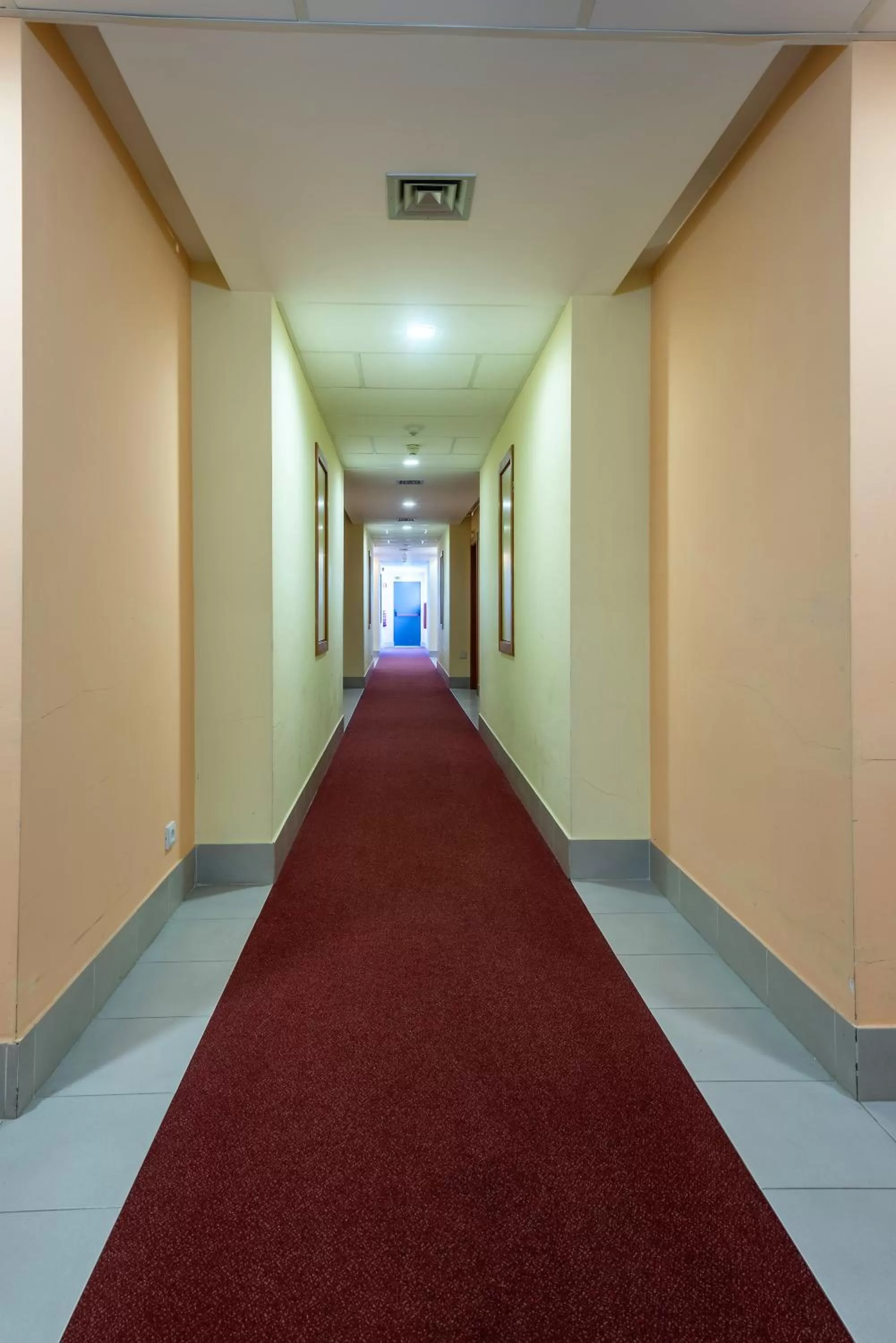 Area and facilities in Amazonia Palmela Apartamentos Turisticos