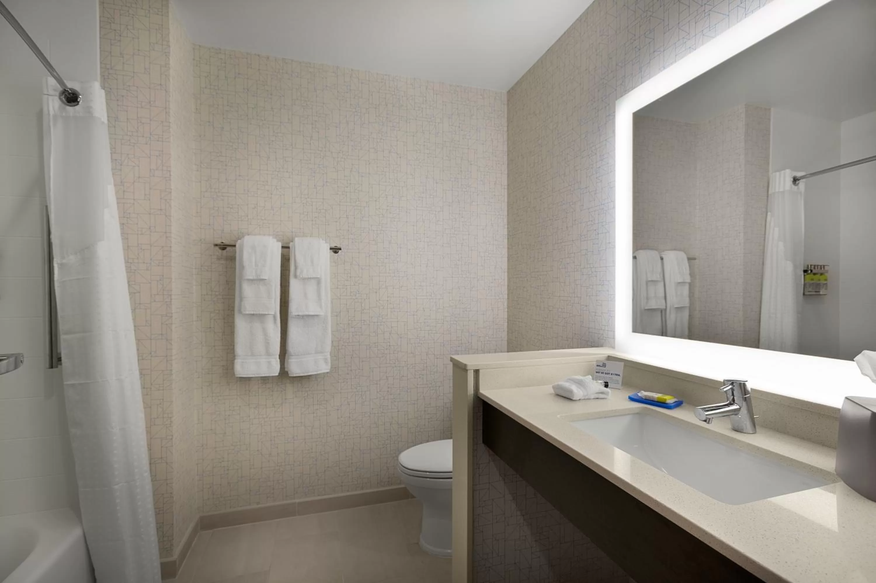 Bathroom in Holiday Inn Express - Lake Park by IHG