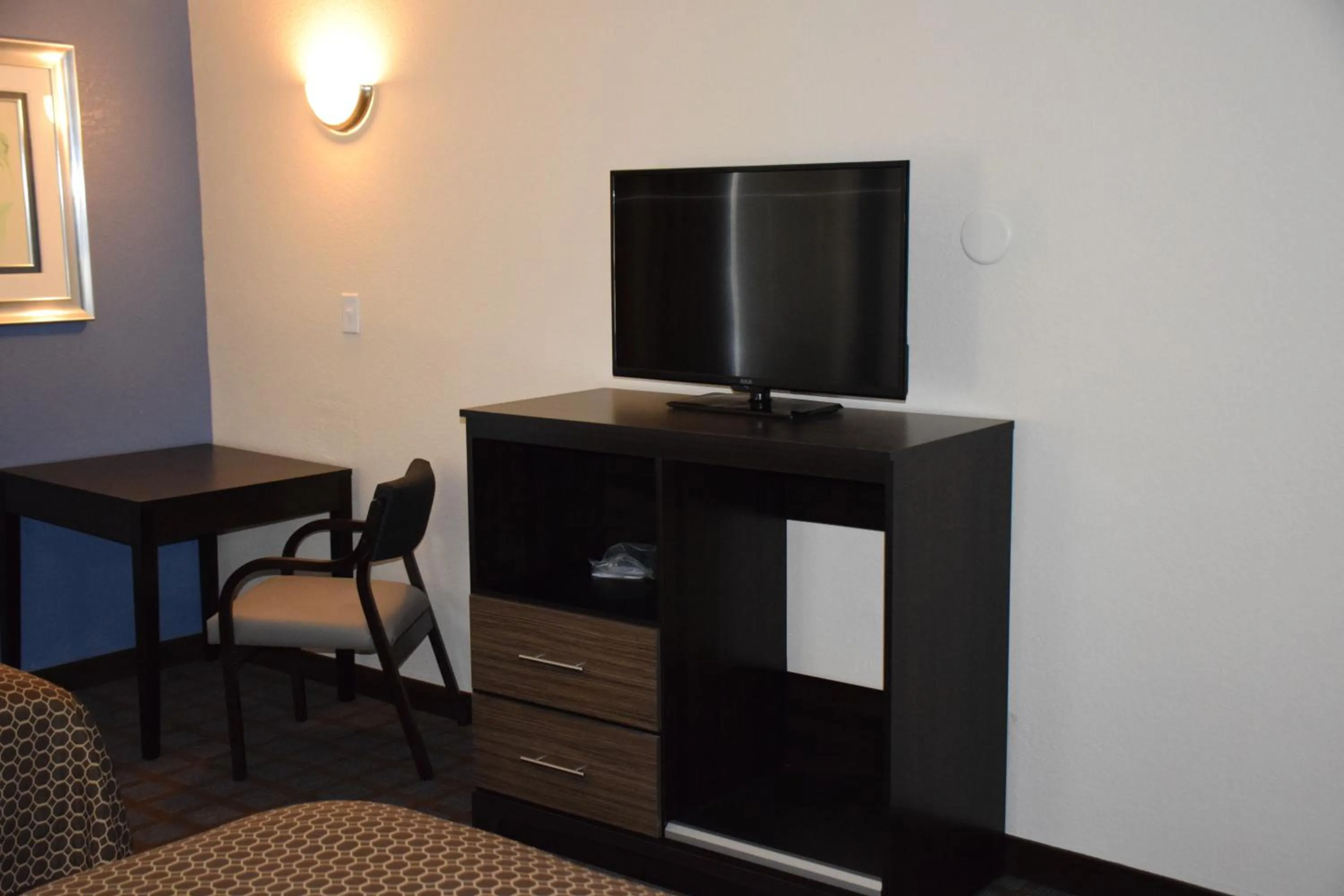 TV and multimedia in Hawthorn Suites by Wyndham Columbia