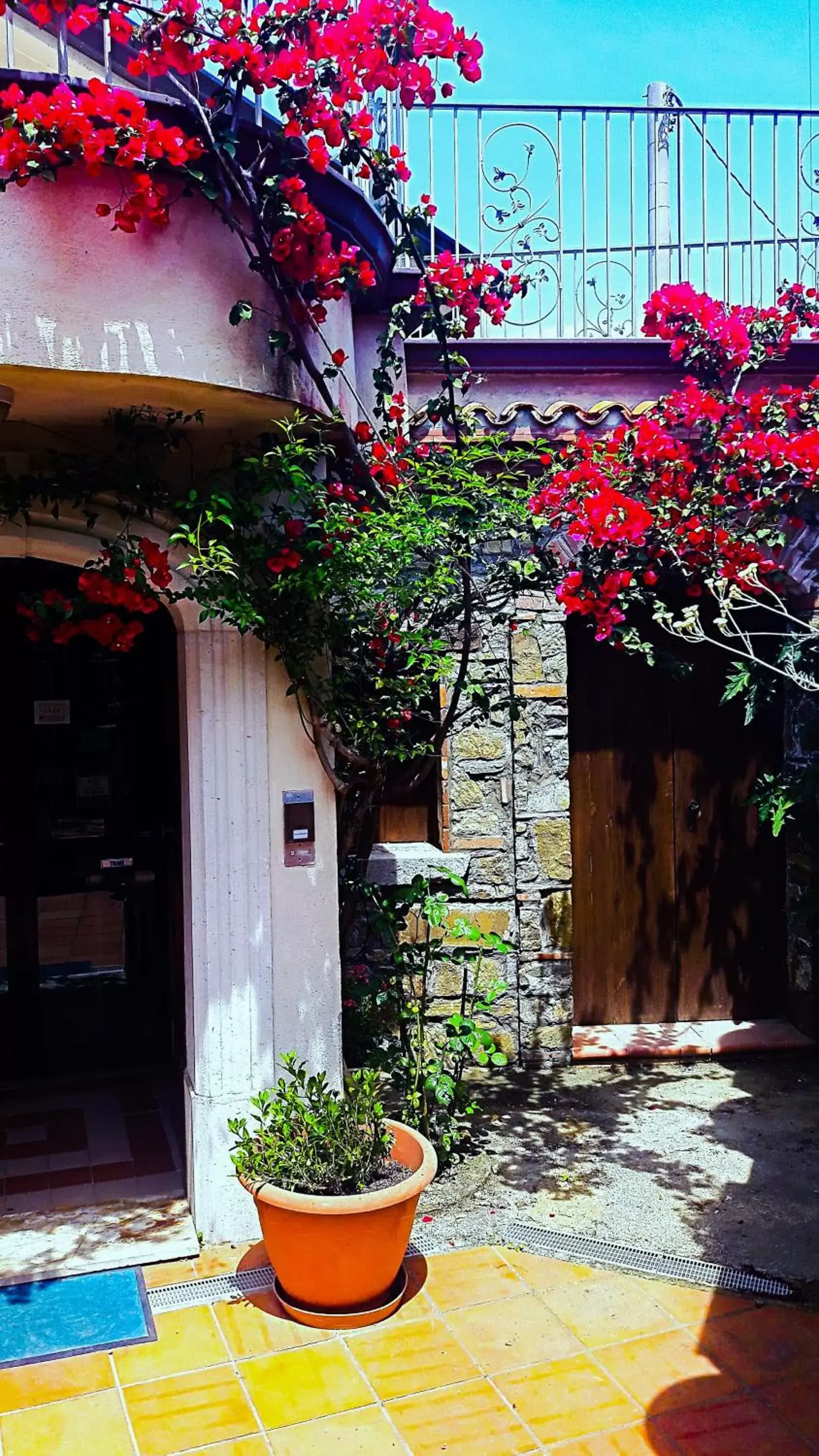 La Civetta La Civetta