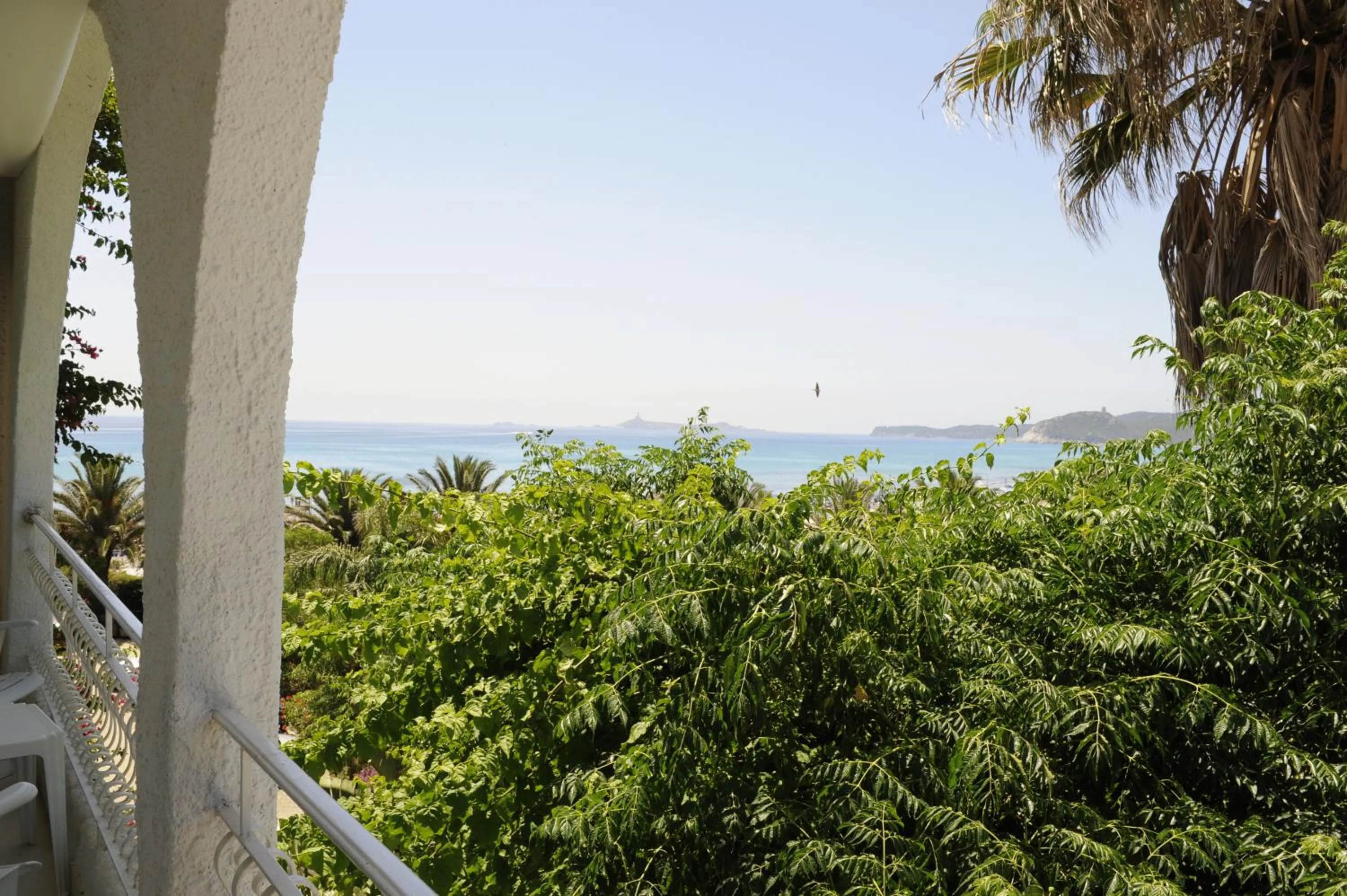 View (from property/room) in Hotel Simius Playa